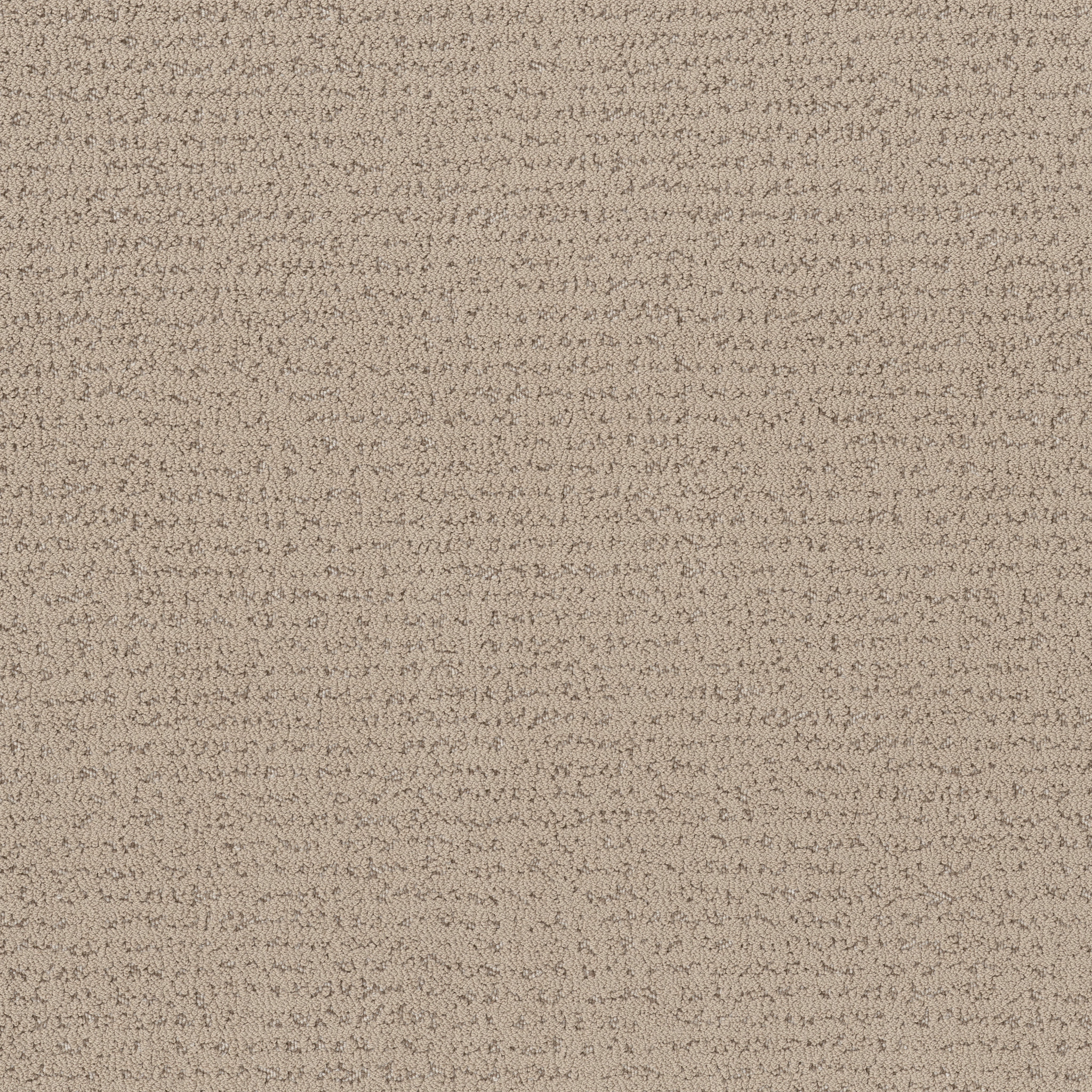 TANGENT FRESH BREAD MAIN