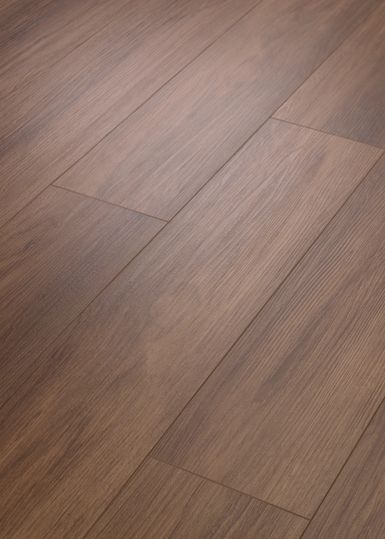 DISTINCTION PLUS BURNT UMBER ANGLED