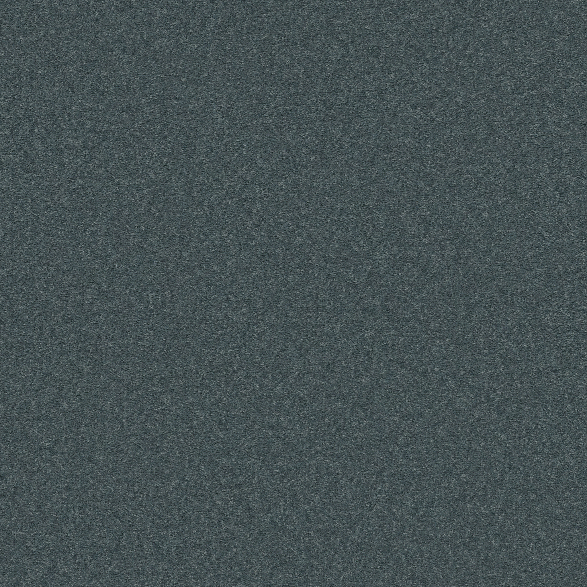 BEAUTIFULLY SIMPLE I 15' PACIFIC MAIN