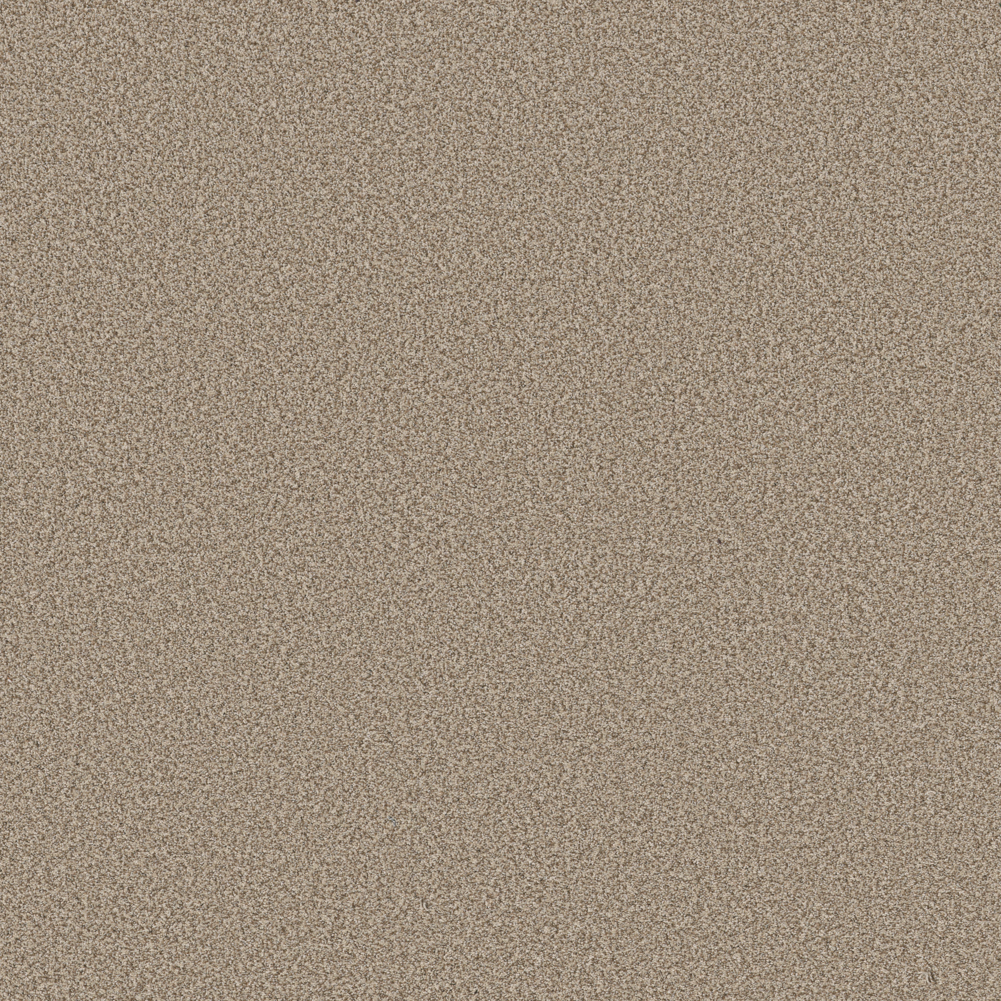 AVALON BAY SUGAR COOKIE MAIN