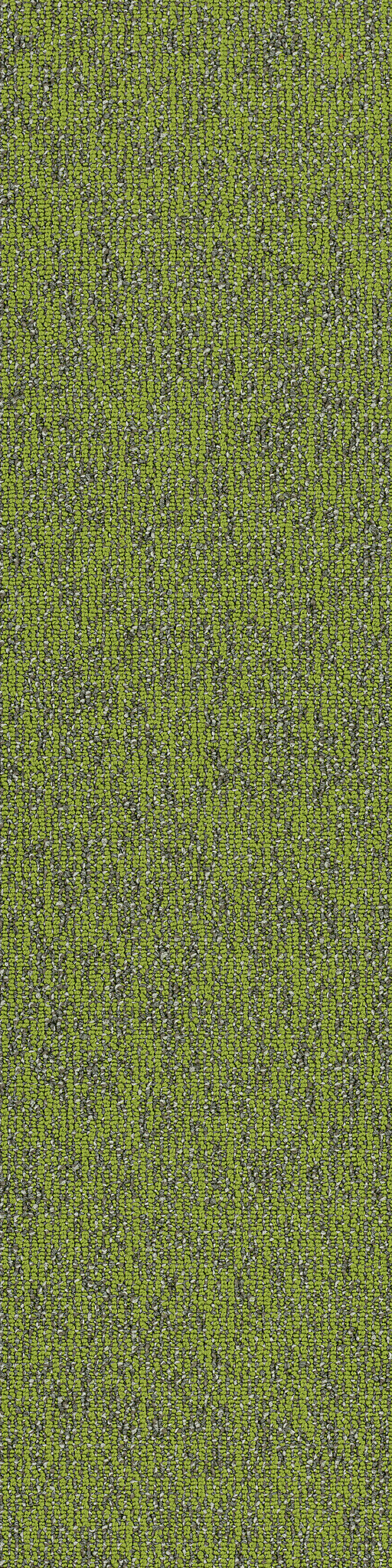 BASIN-54847-TAIGA-00315-main-image