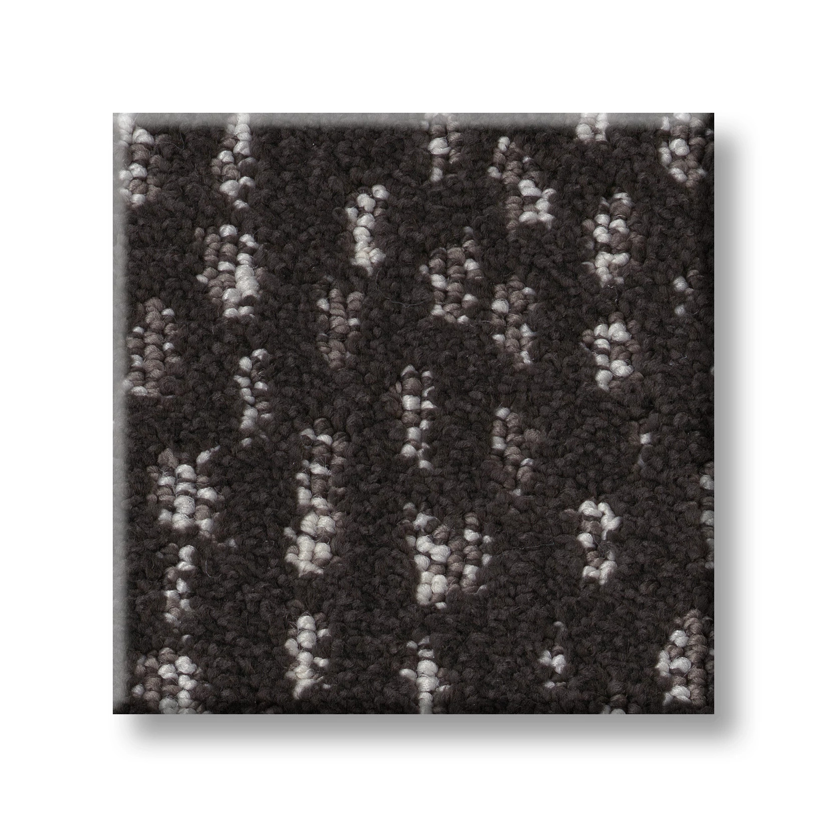 AMBITIOUS CHARCOALS SWATCH