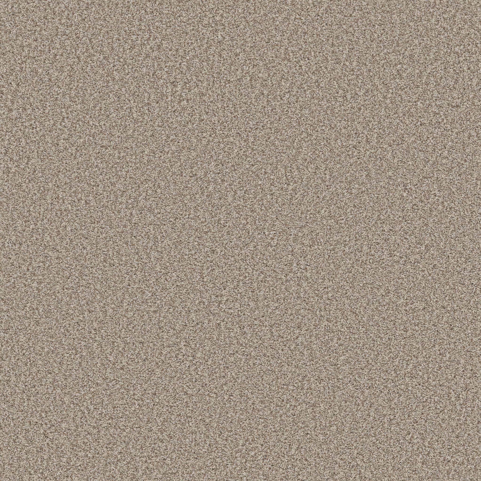 PRESCOTT VALLEY SPUN COTTON MAIN