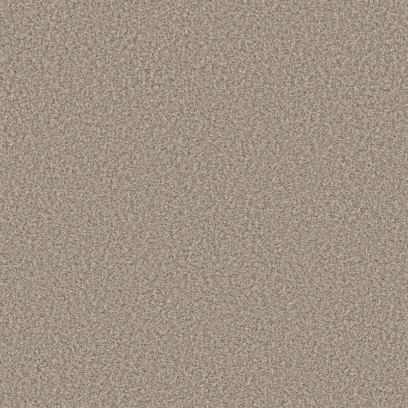 PRESCOTT VALLEY in Spun Cotton by Shaw Floors