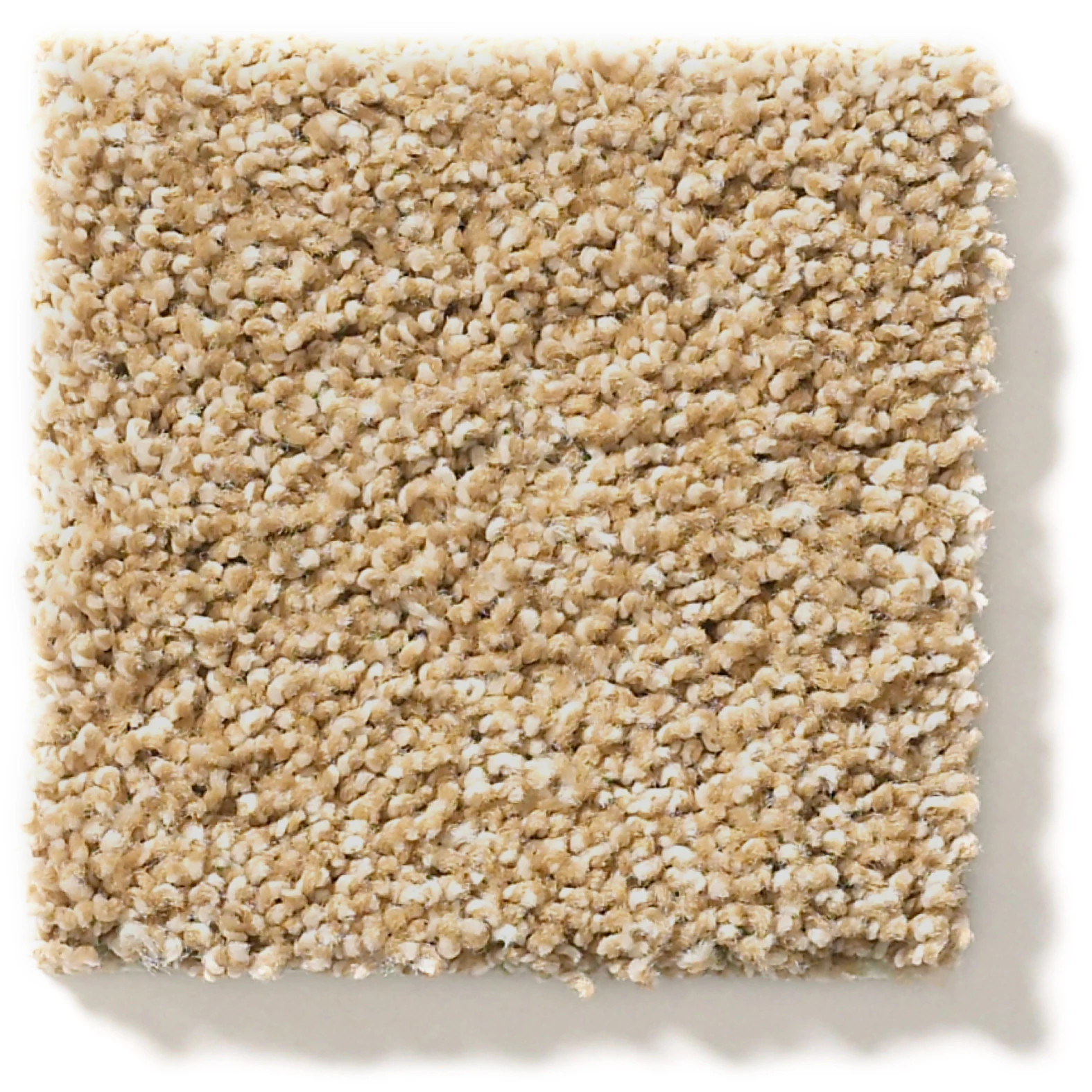 OCEAN VIEW FARRO SWATCH