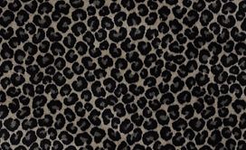 Cheetah (54509) Carpet | Philadelphia Commercial