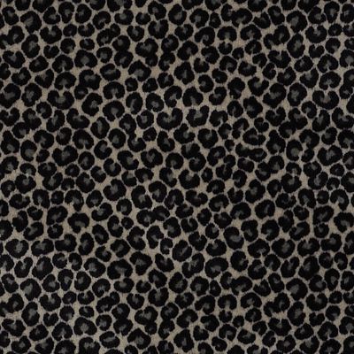 Cheetah (54509) Carpet | Philadelphia Commercial