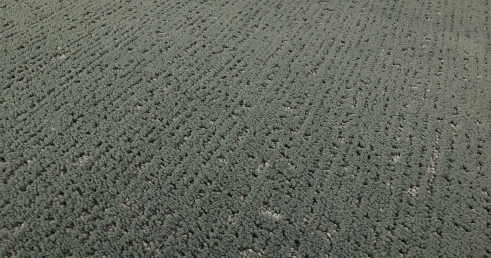 CURATED TONE REFRESHING 360PROD