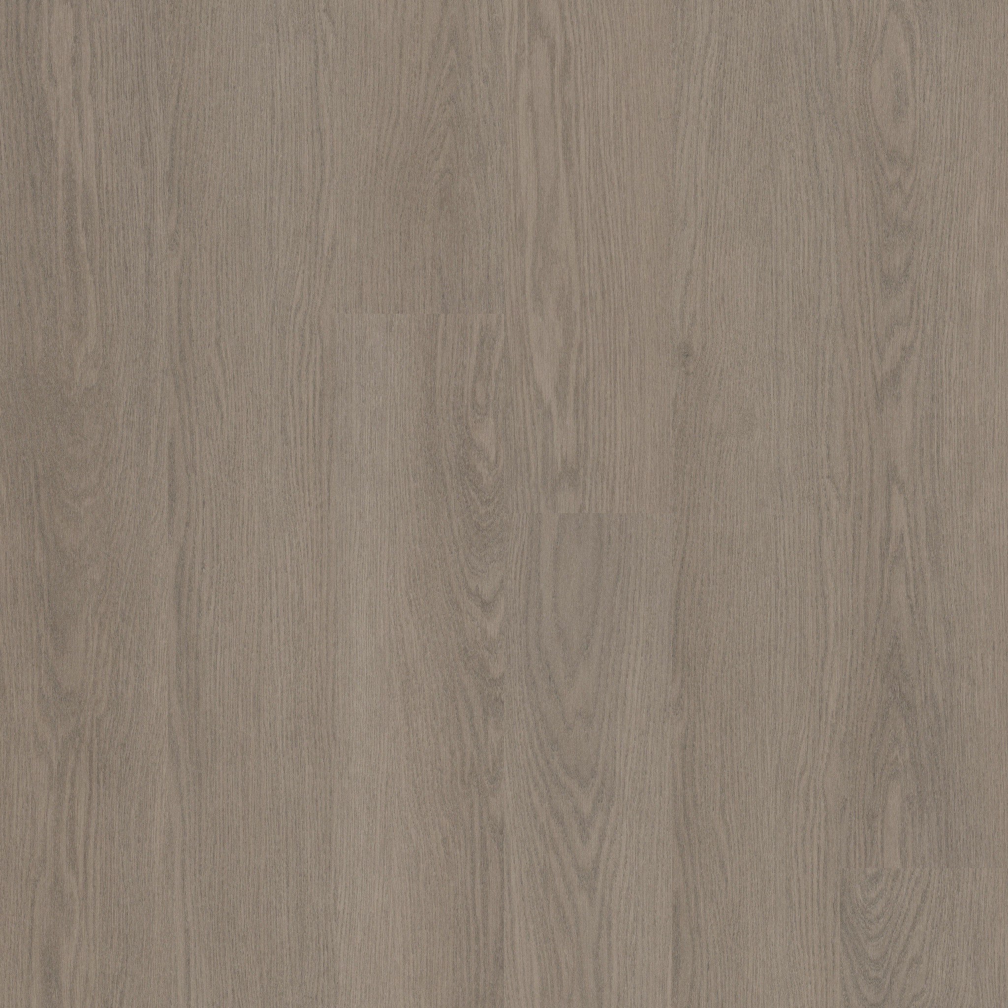 WILLOW-OAK-4.0-5717V-DOVETAIL-OAK-01230-main-image