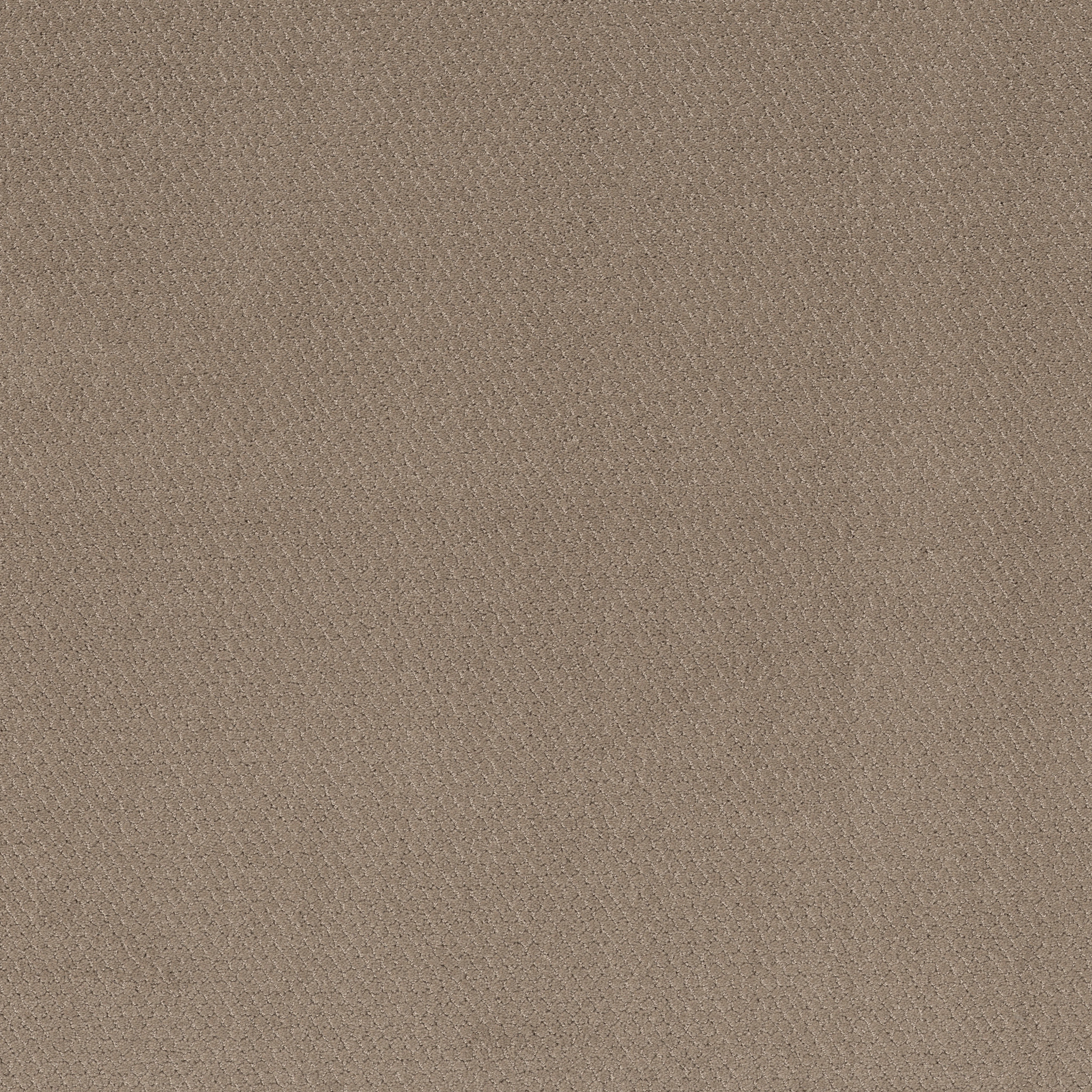 SIMPLY CLASSIC CAMEO MAIN