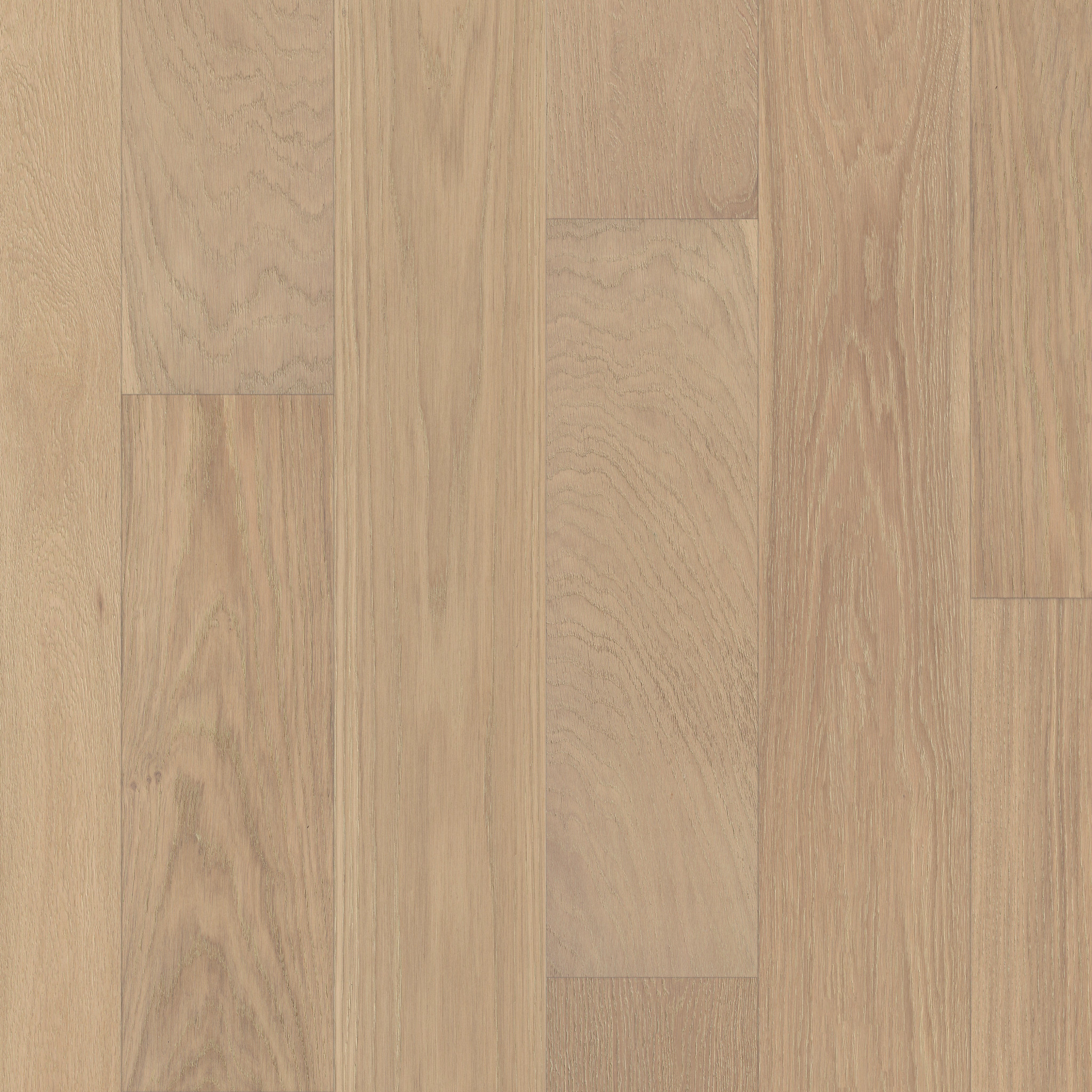 CARPENTRY OAK SEDIMENT MAIN