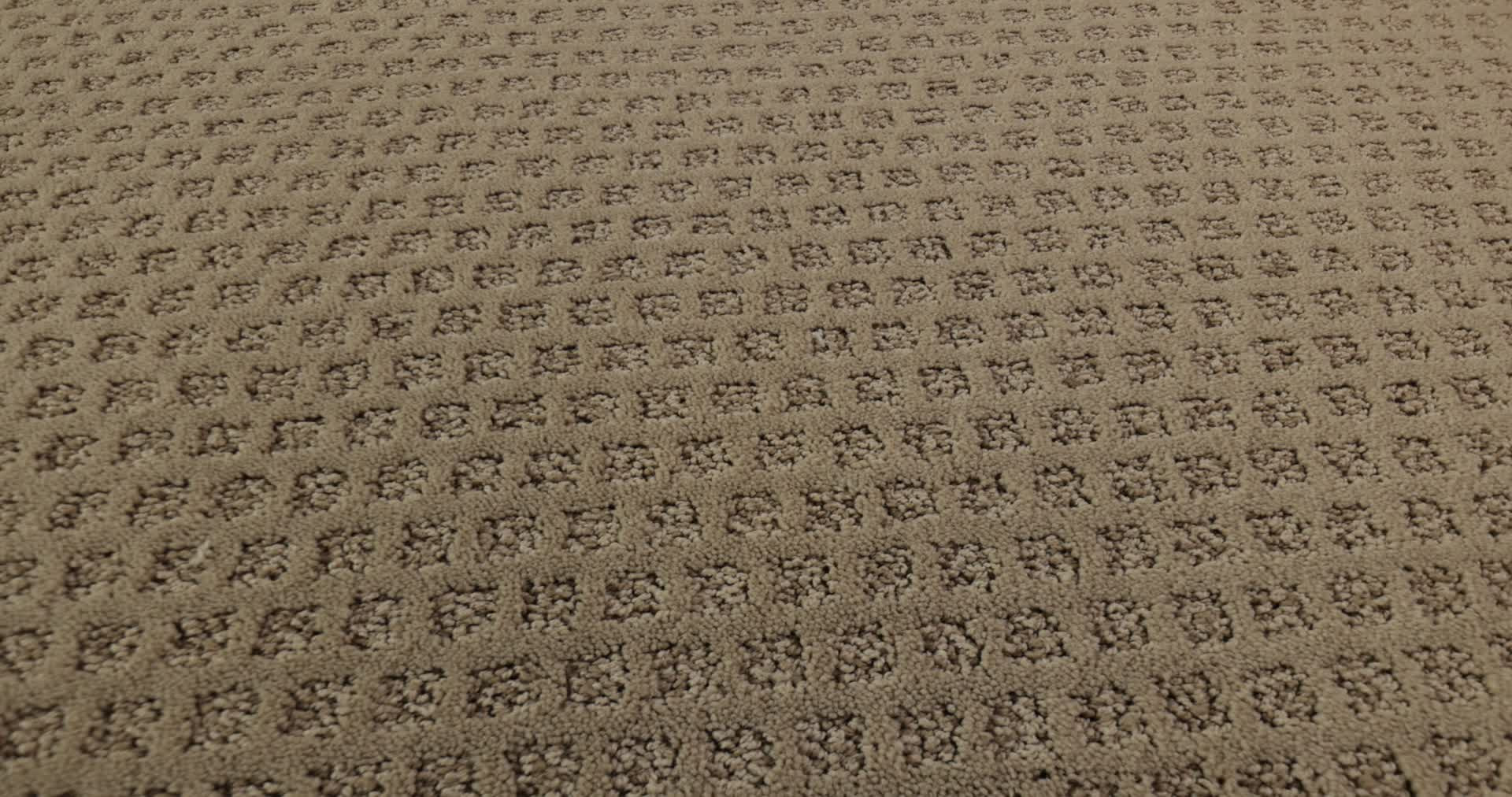 THE ARTS LLAMA 360PROD