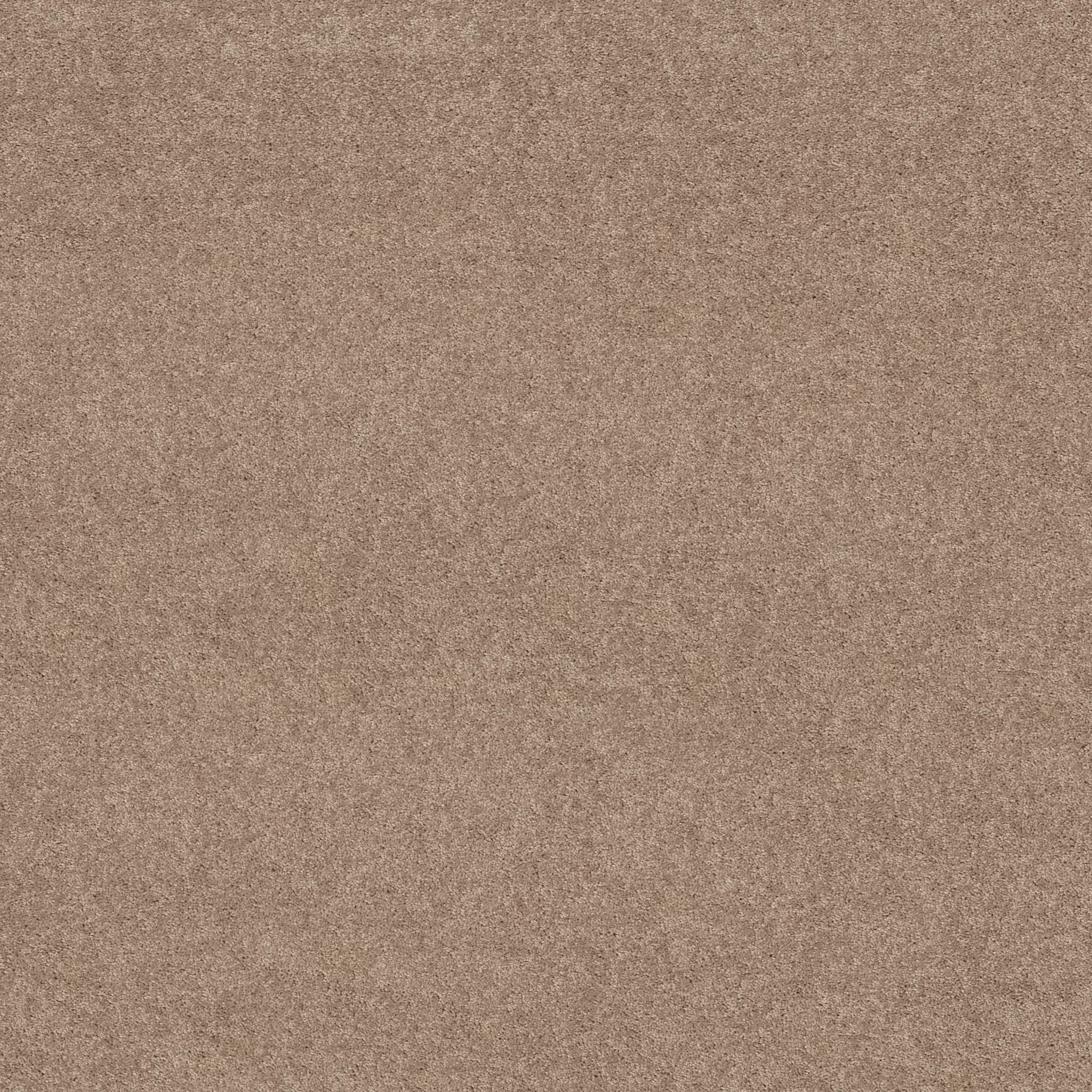 DYERSBURG II 12' PLASTER MAIN