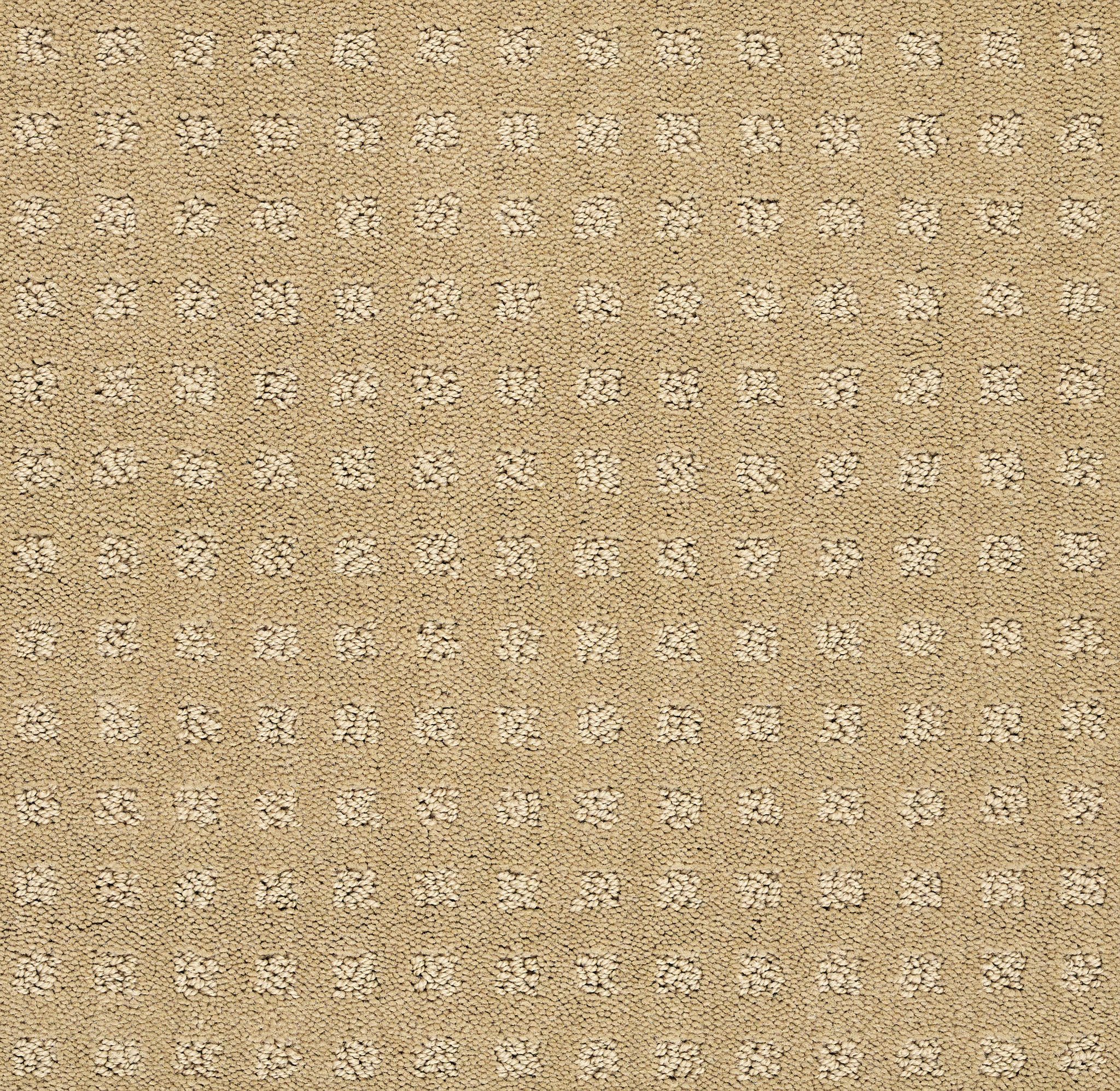 ALLURING DISPOSITION WARMTH MAIN