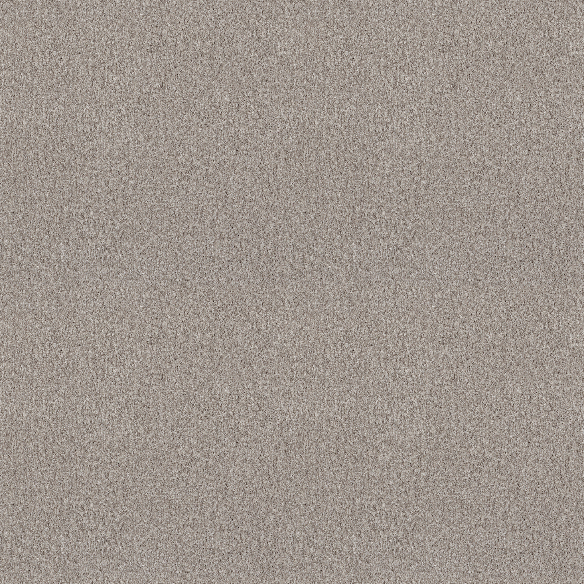 TONAL COMFORT I CHILL IN THE AIR MAIN