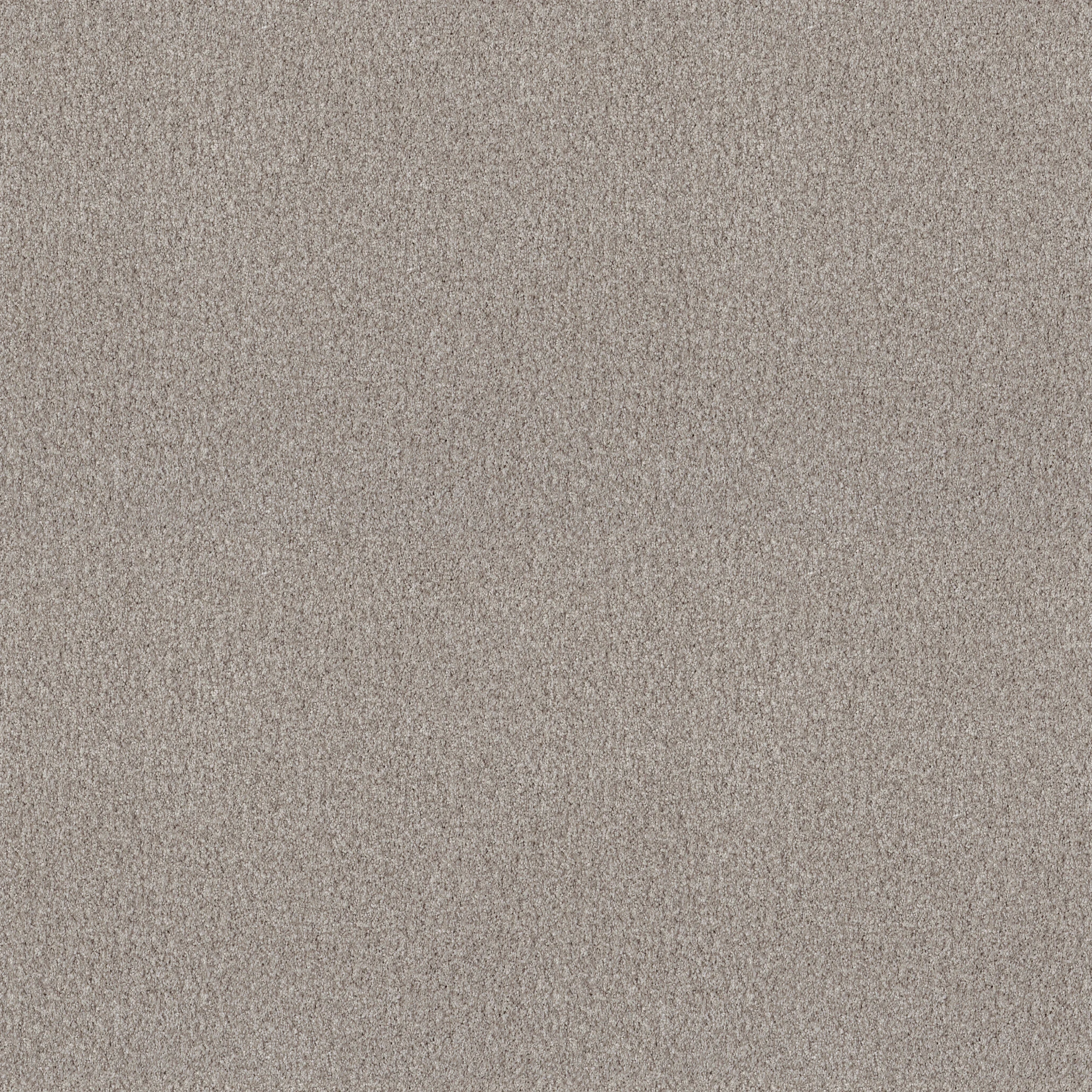 carpet-flooring-experience-the-luxurious-texture-of-softbac-platinum-broadloom-carpet-for-ultimate-comfort