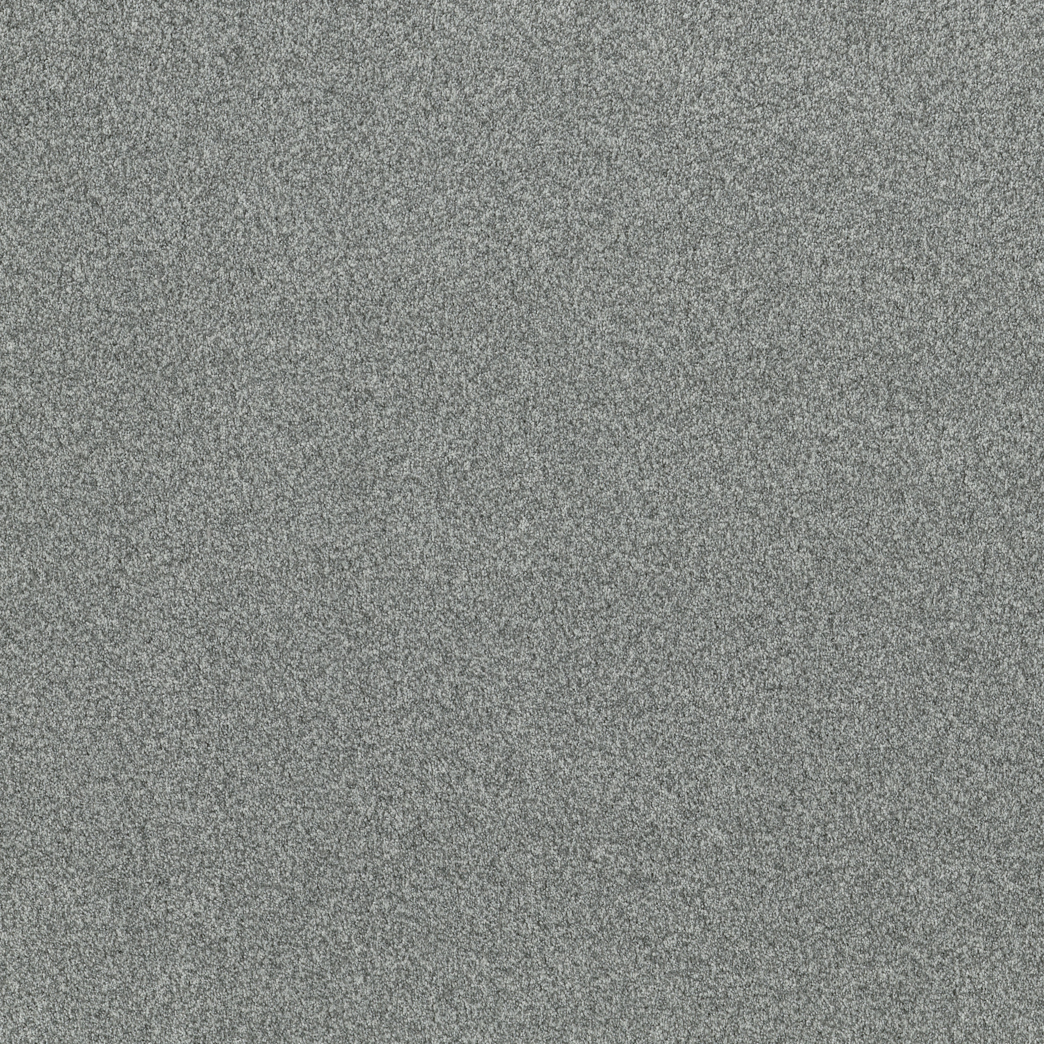 TERRA NOVA OCEANIC MAIN