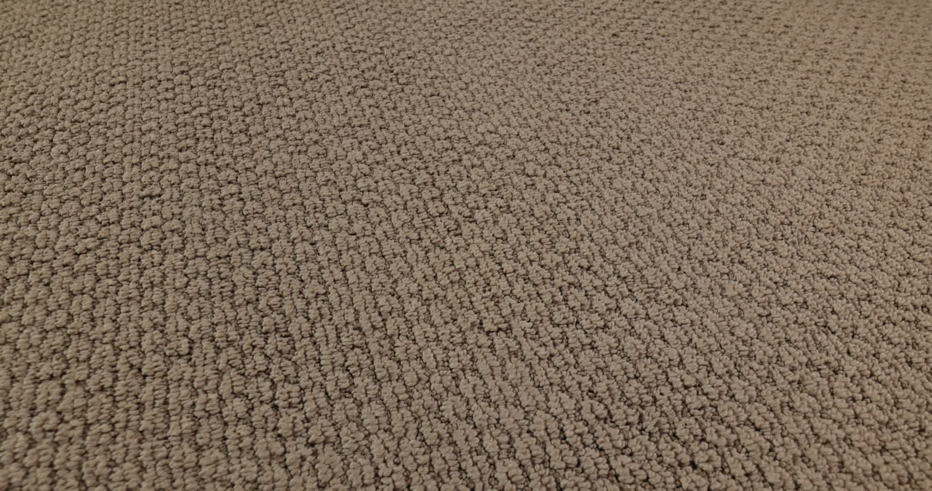 AG In The Loop COBBLESTONE 360PROD