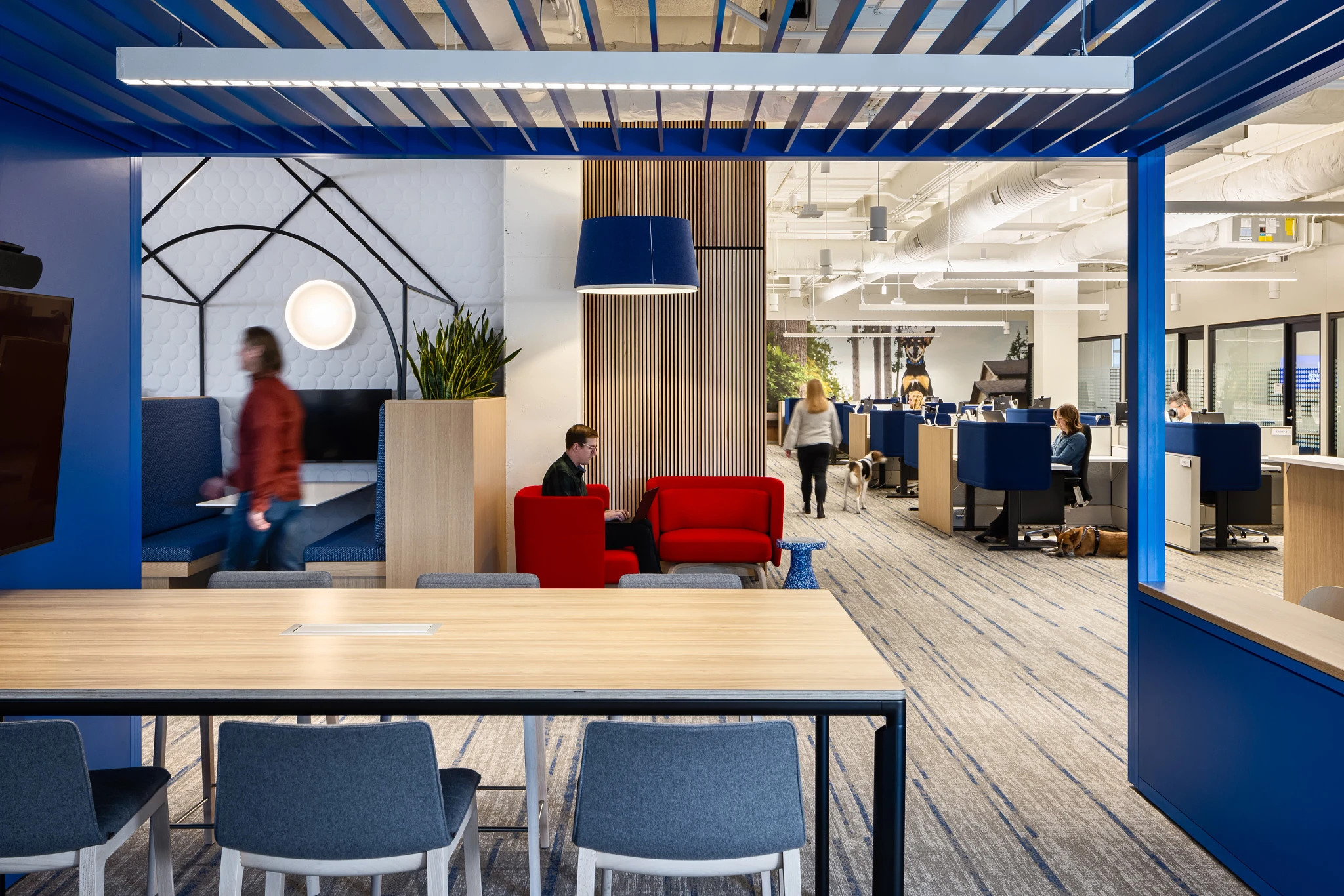 Modern workplace interior with blue and red furniture, open office layout, and commercial carpet flooring