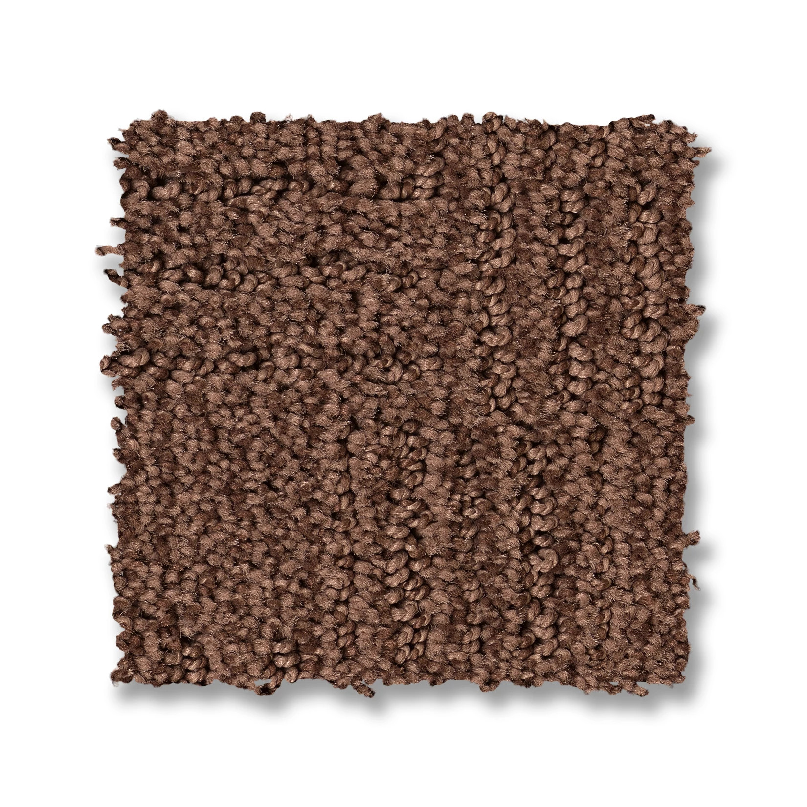 DIEGO FALLEN TIMBER SWATCH