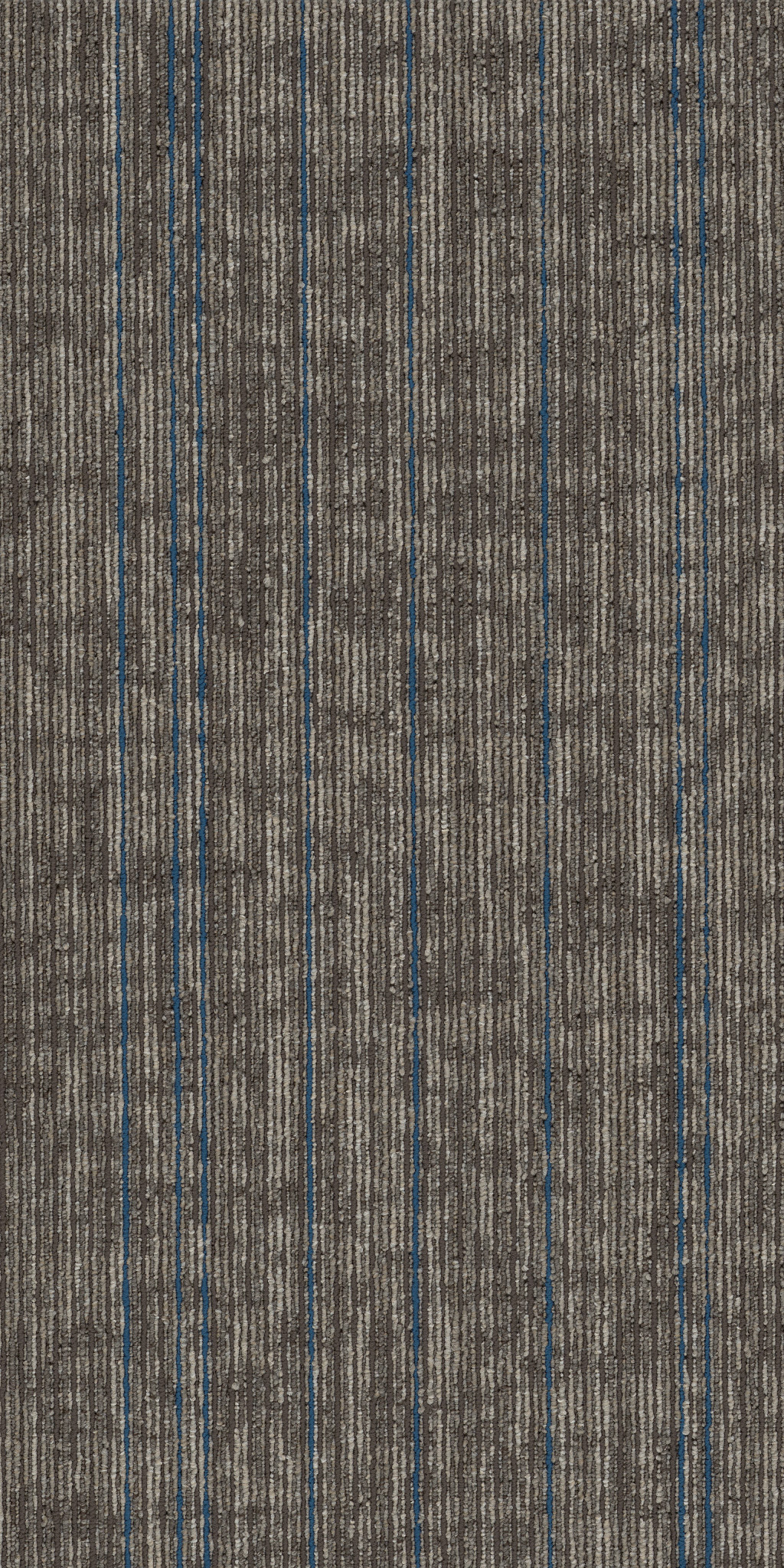 RISE-UP-54997-SUPPORT-00204-main-image