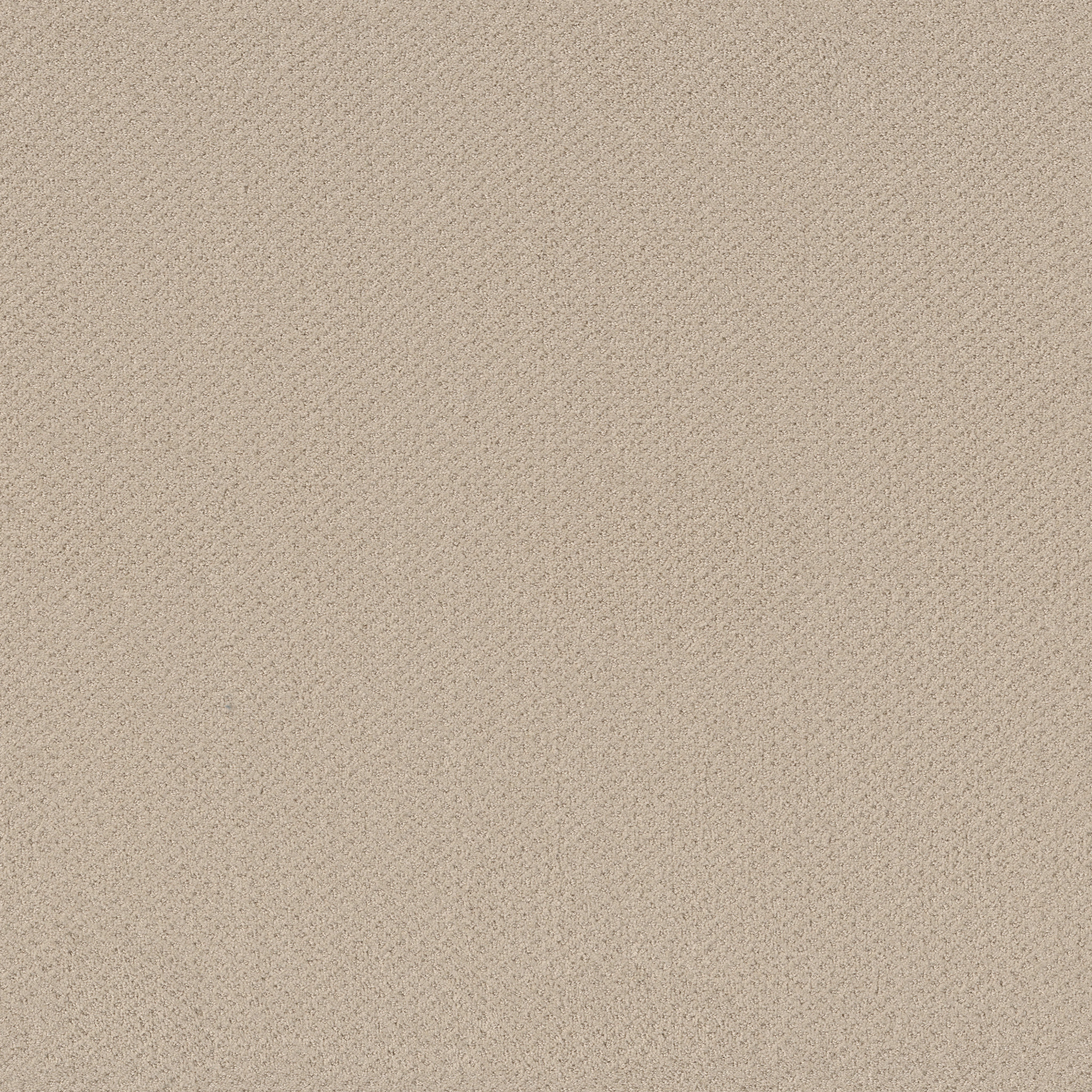 AUSTIN PARK BETTER BEIGE MAIN