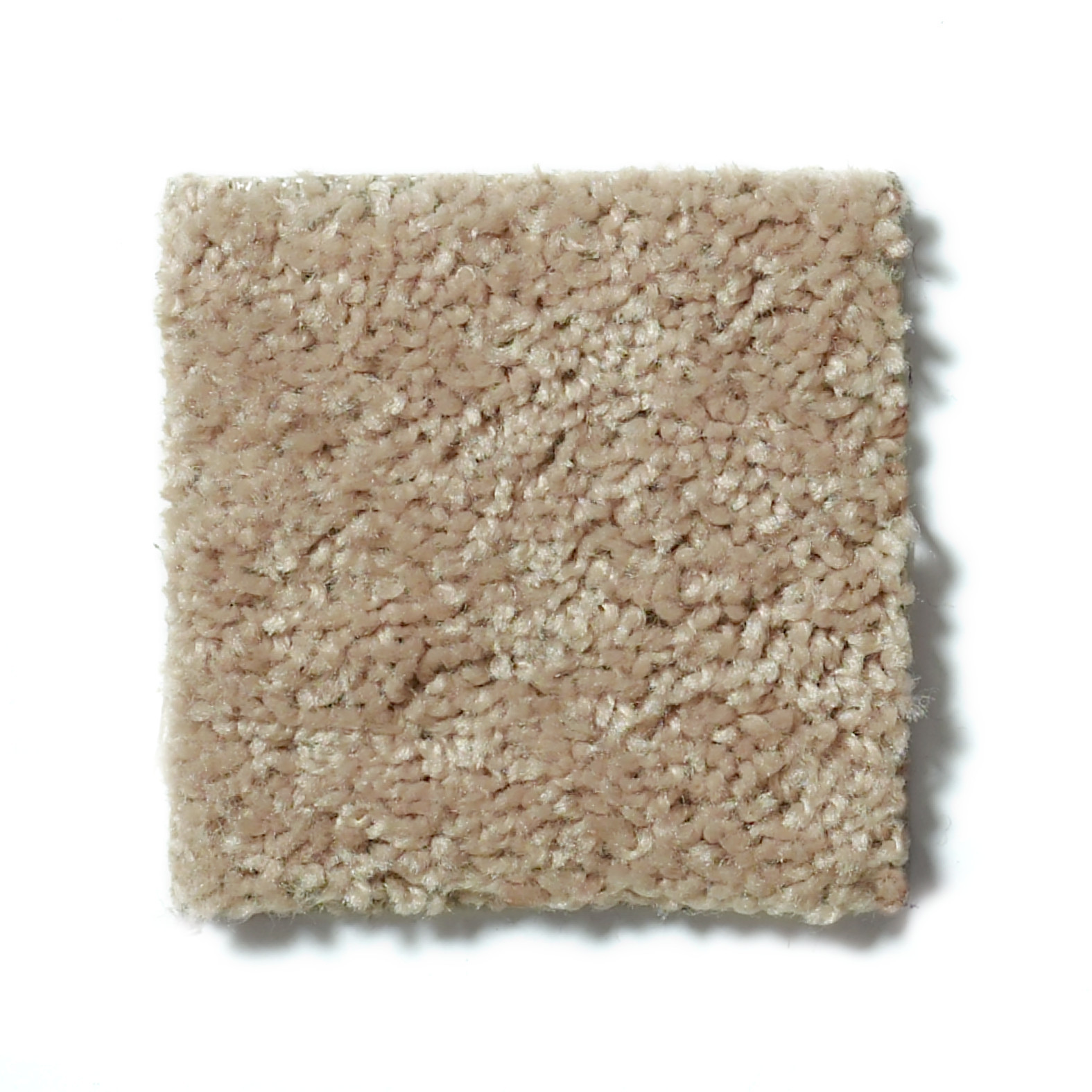 ALL STAR WEEKEND I 15' HONEYCOMB SWATCH