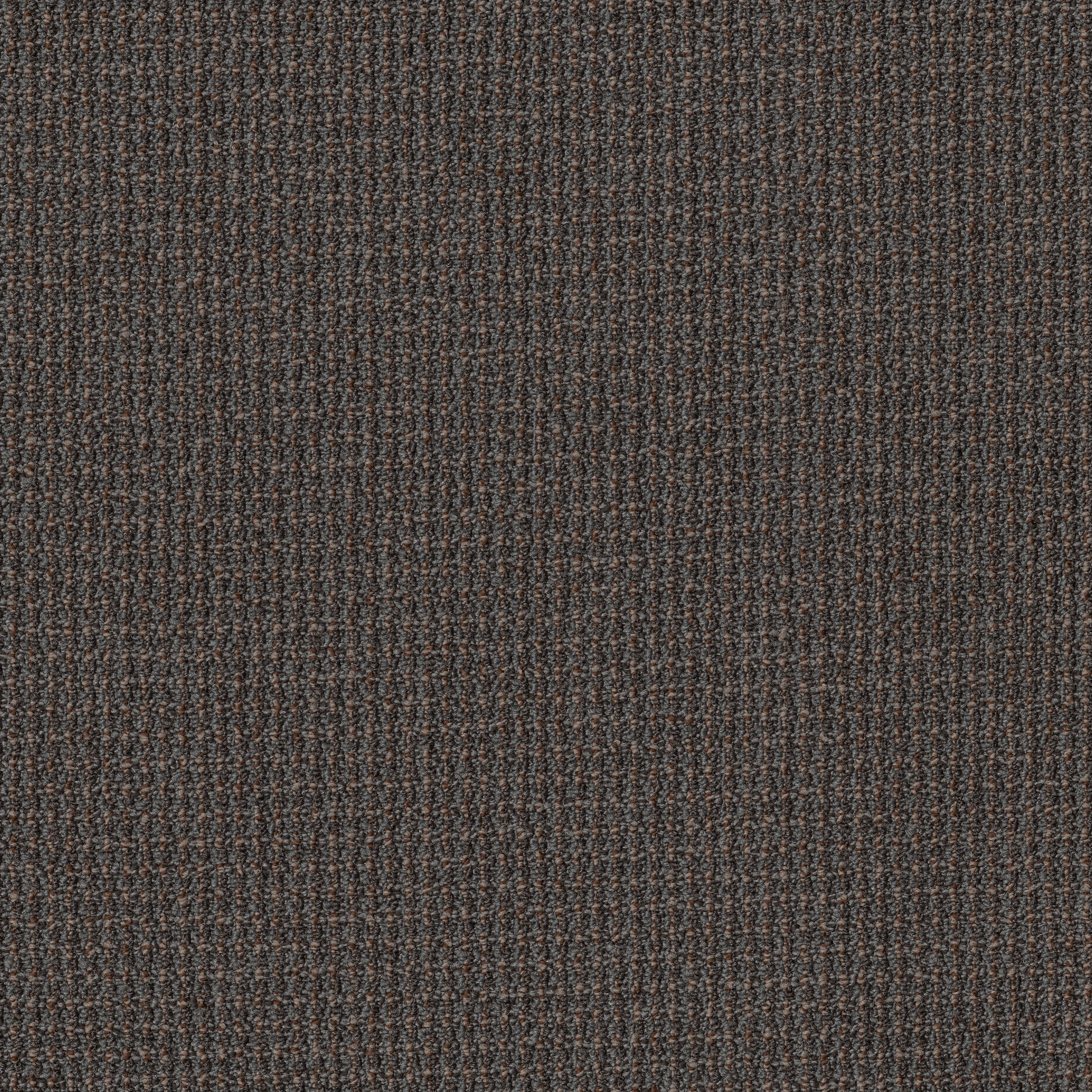 FREE-PRESS-54985-RELEASE-00710-main-image