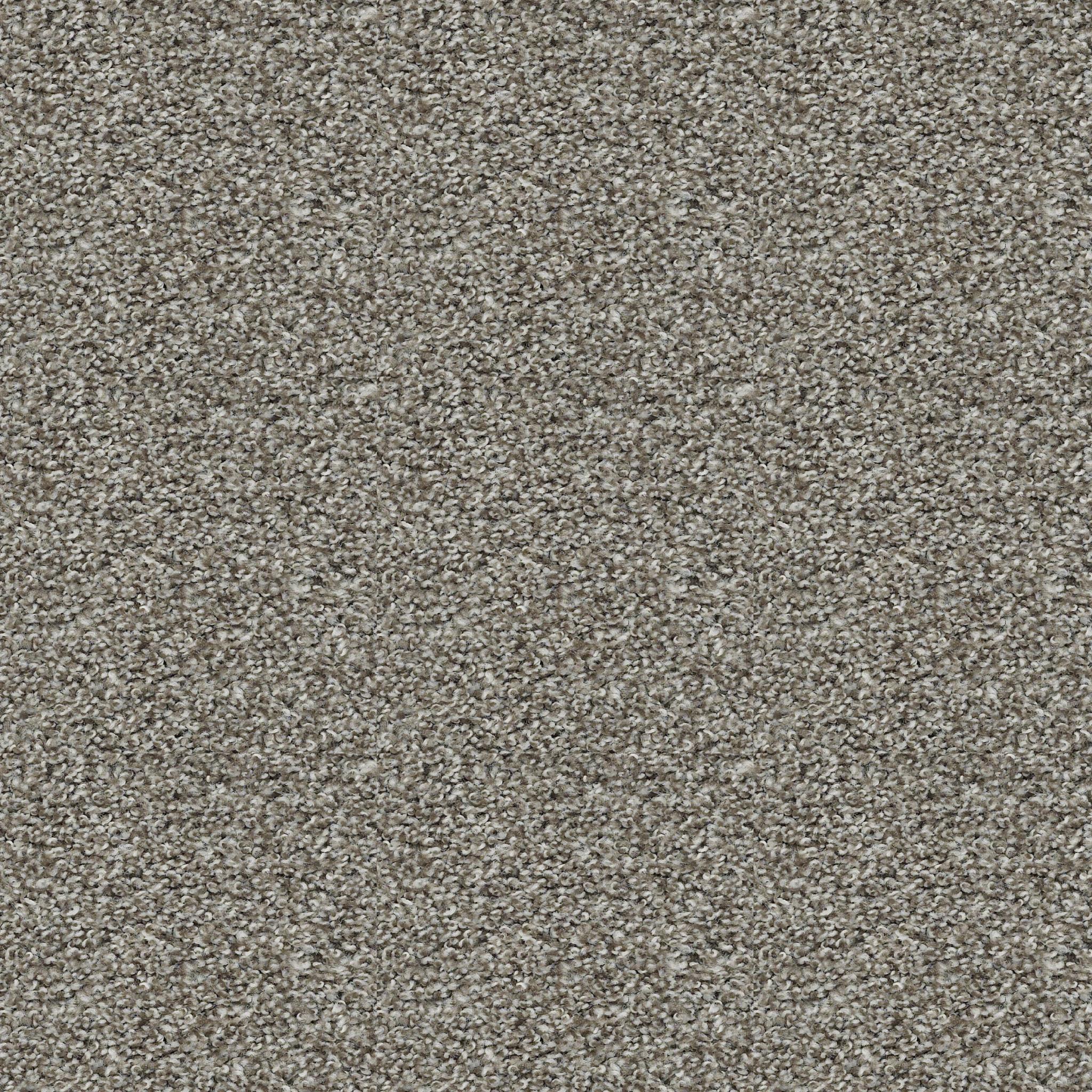 Poised in Chic Taupe
