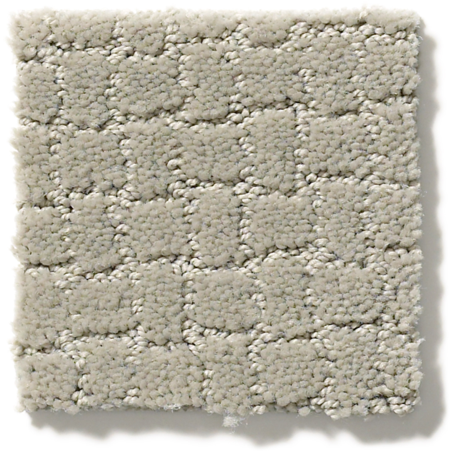 PAWSTRUCK MEDITATION SWATCH