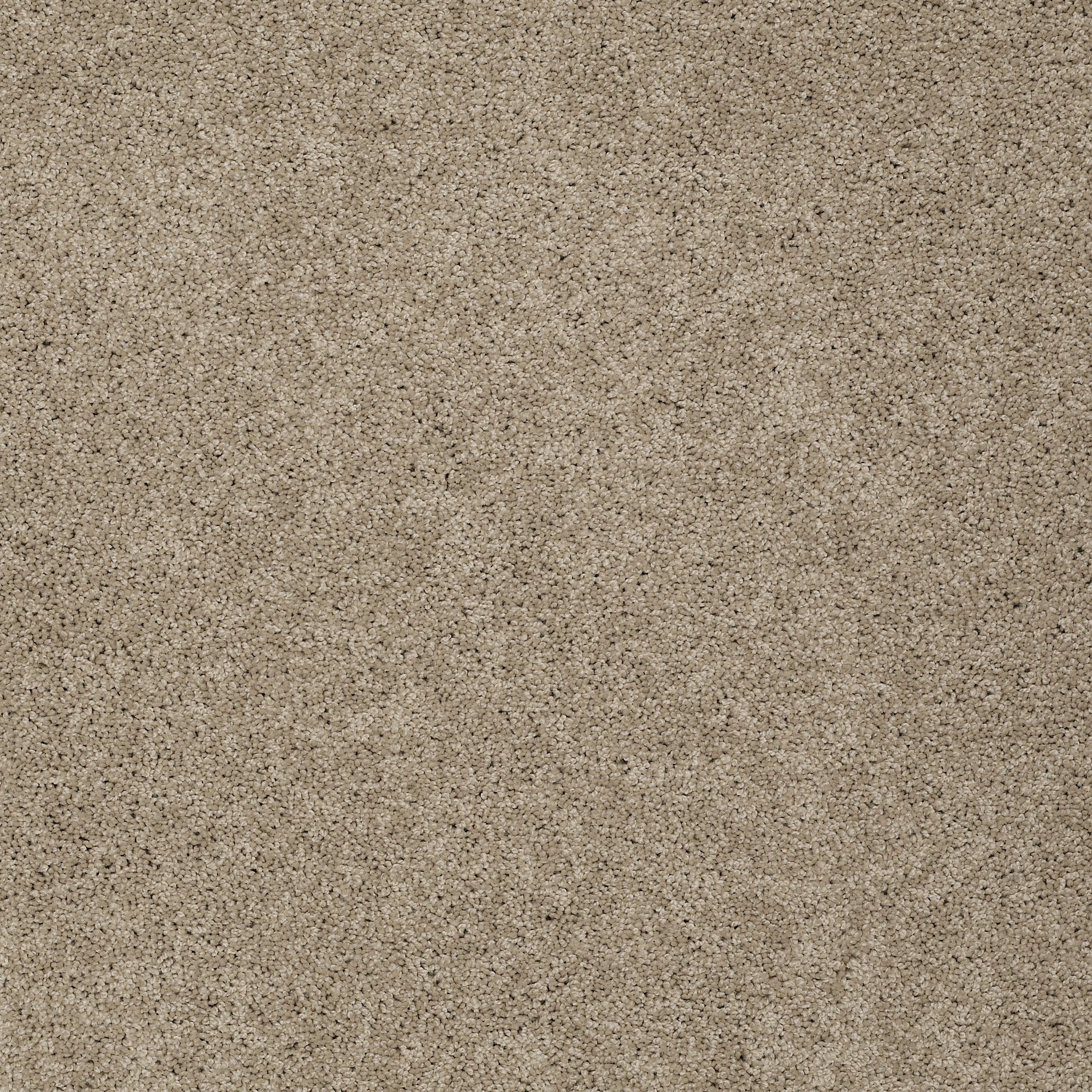 MY DESTINATION II LATTÉ MAIN