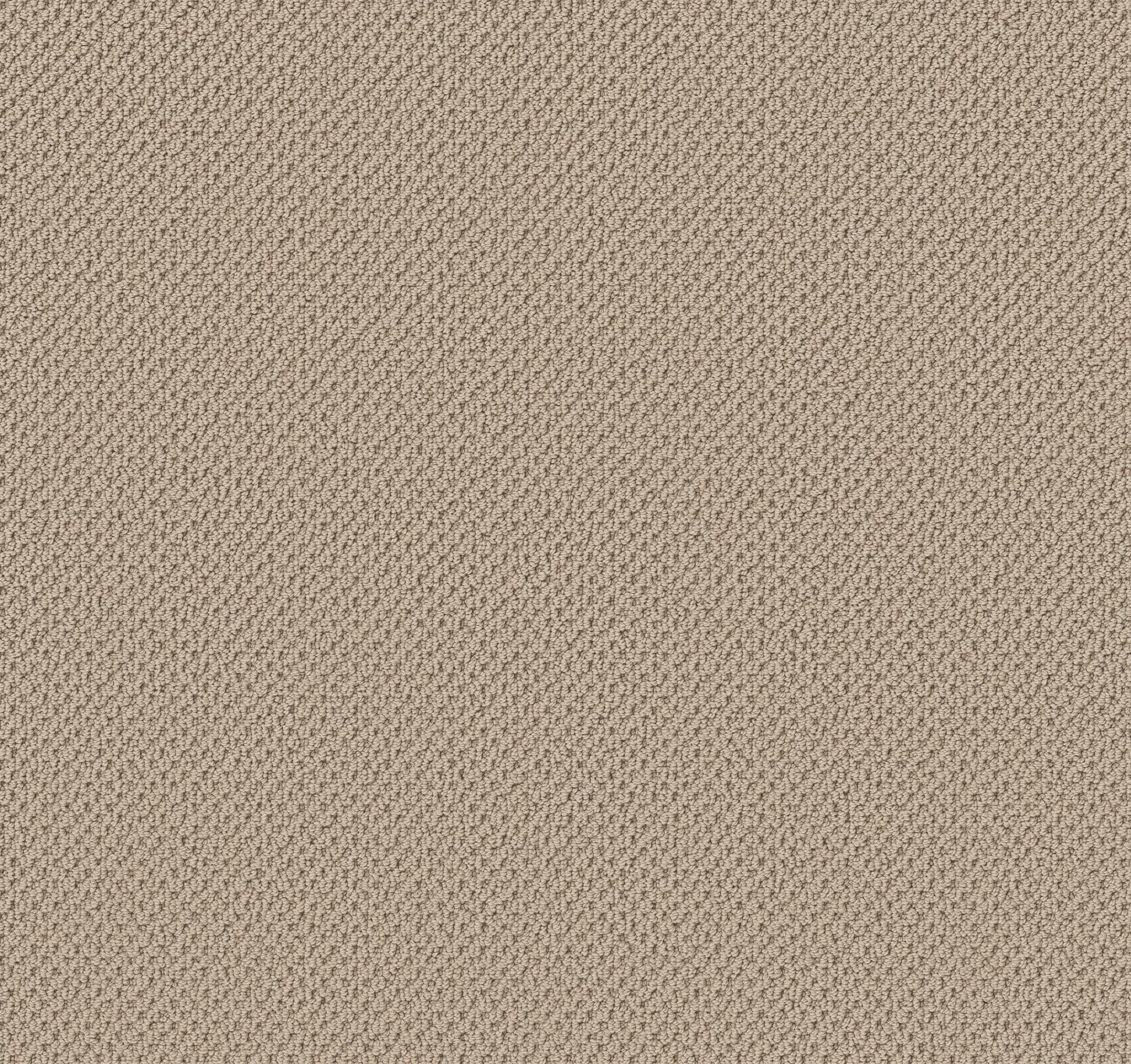 GRACIOUS BARISTA MAIN