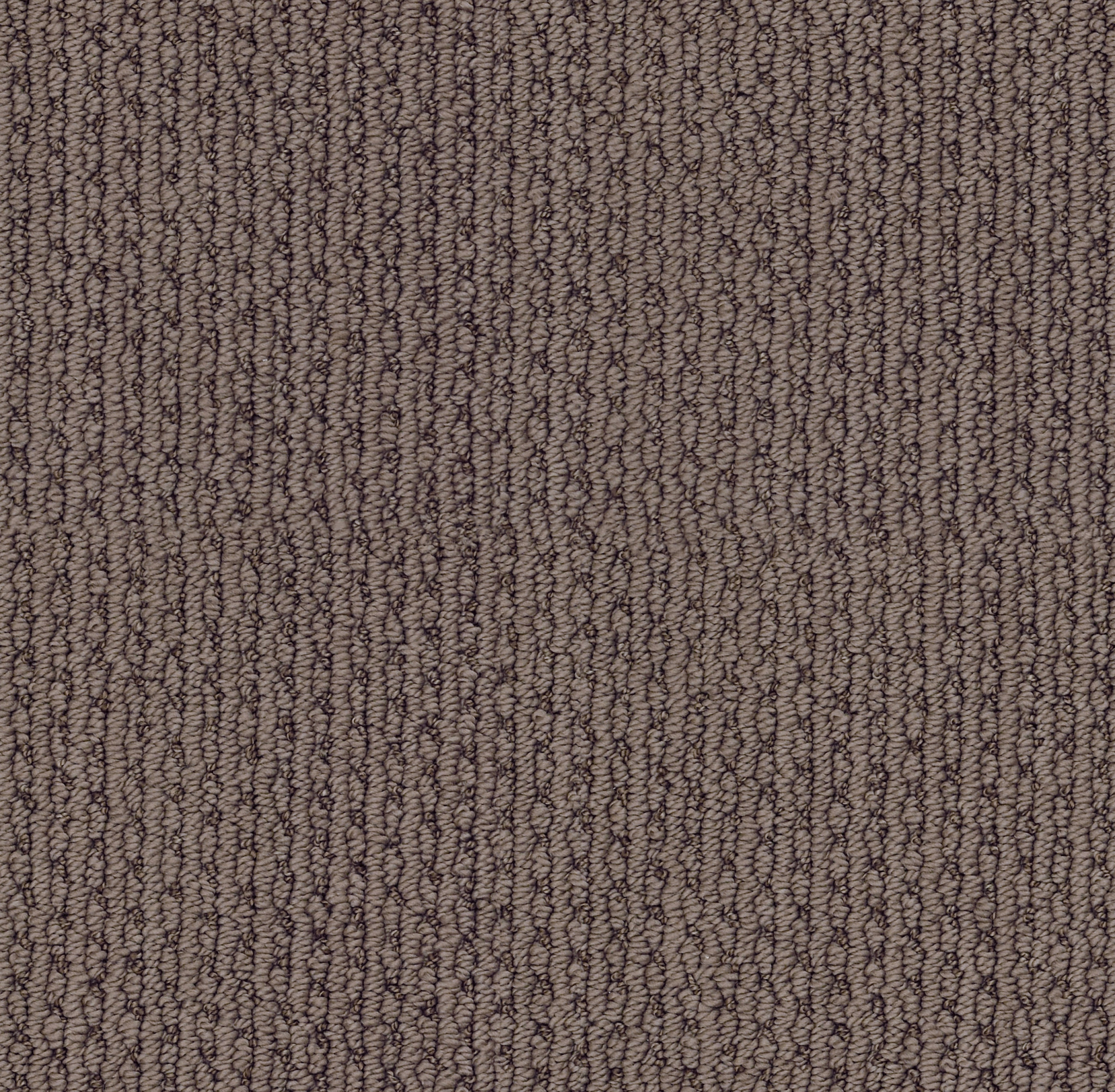 CHAPEL RIDGE HUSKY MAIN