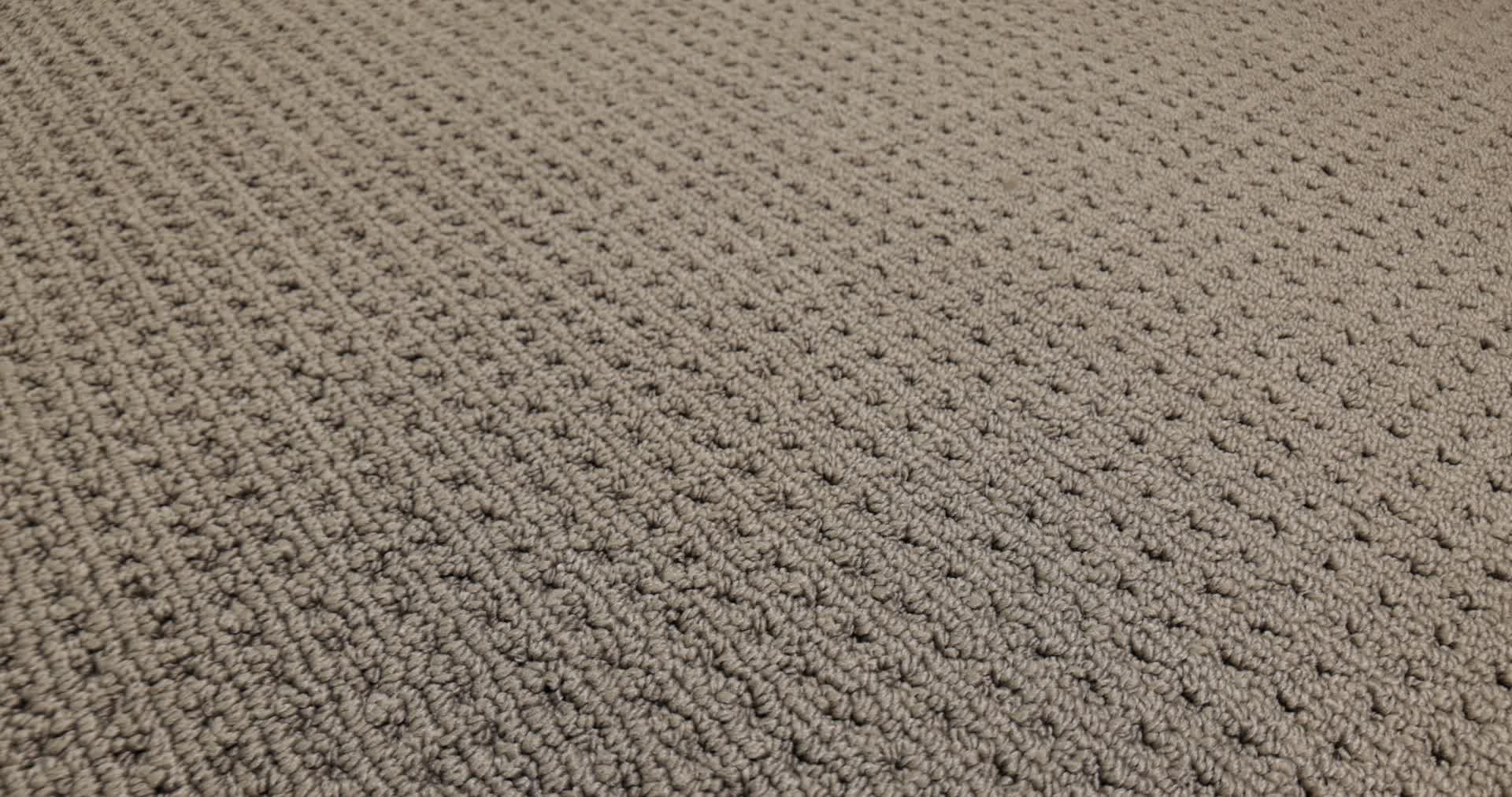 SAN LUCAS SHINGLE 360PROD