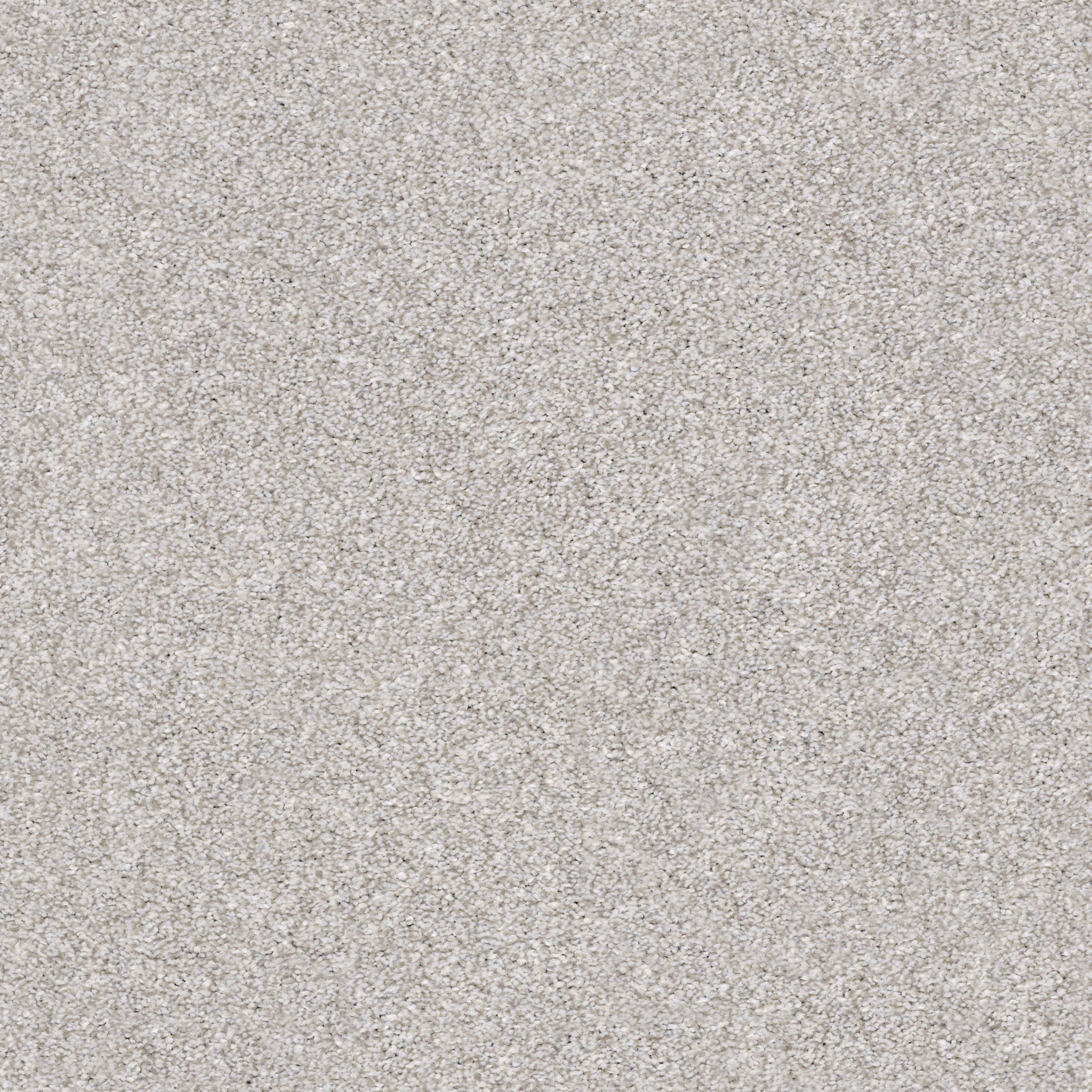 Search Carpet Results | Shaw Floors