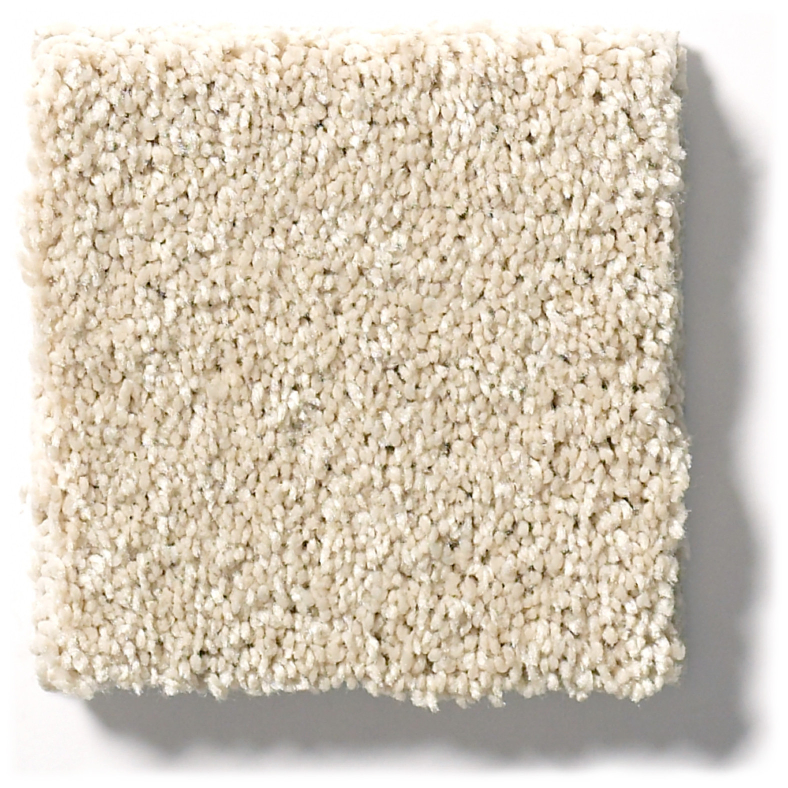 BASIC RULES EGGSHELL SWATCH