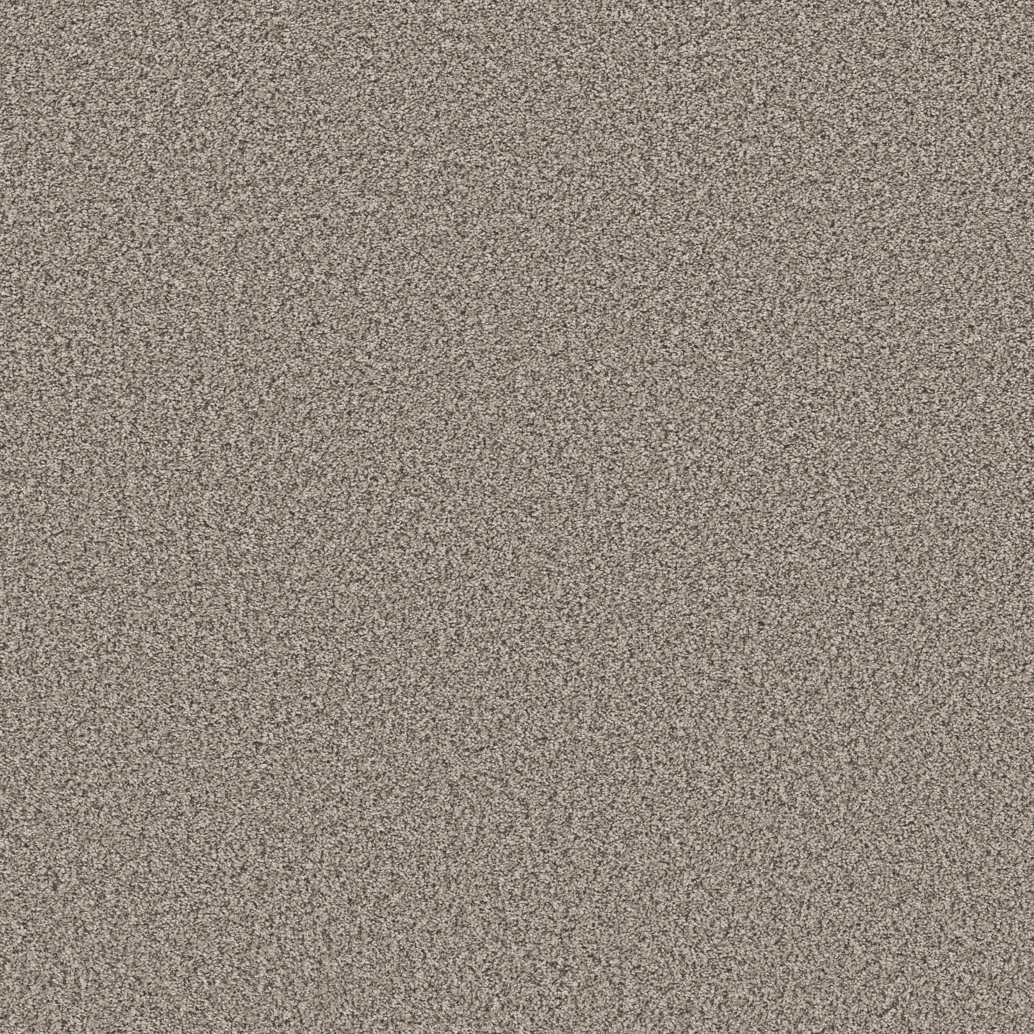 SOFT RADIANCE OVERCAST MAIN