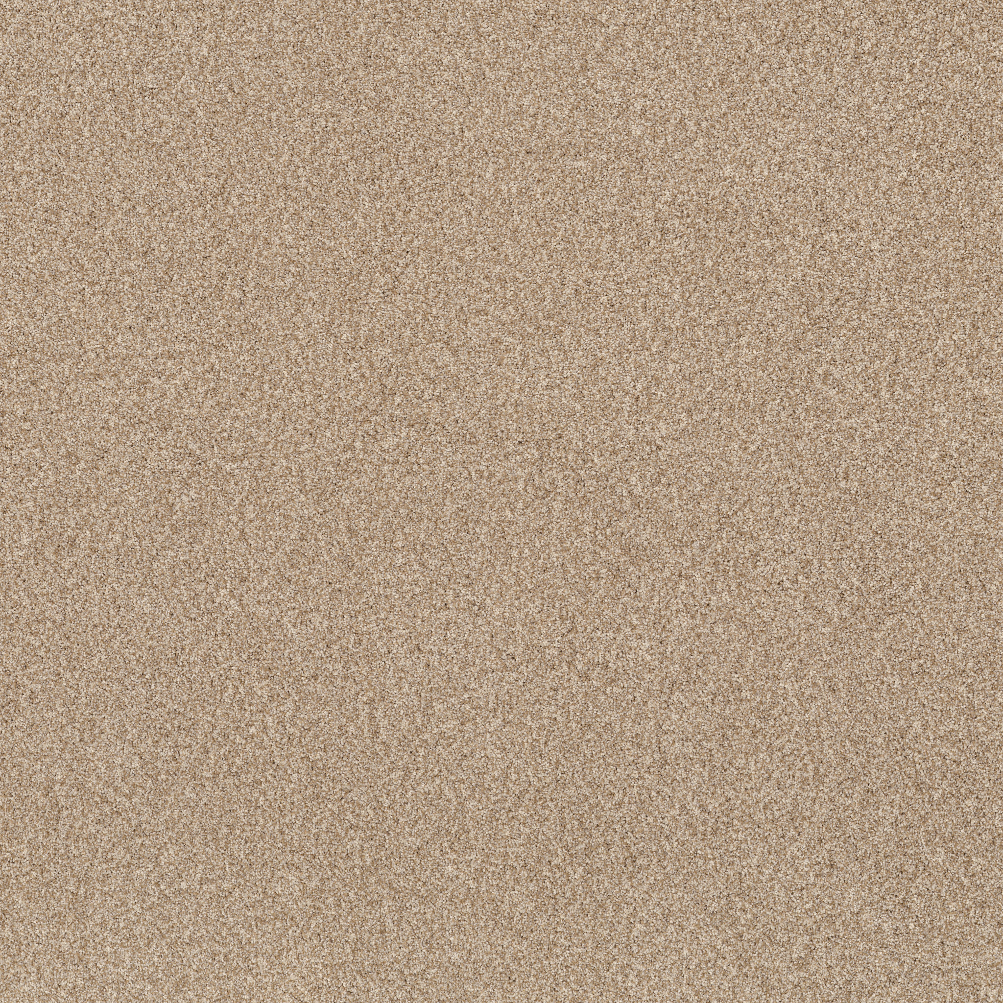 BOSSA NOVA REED MAIN