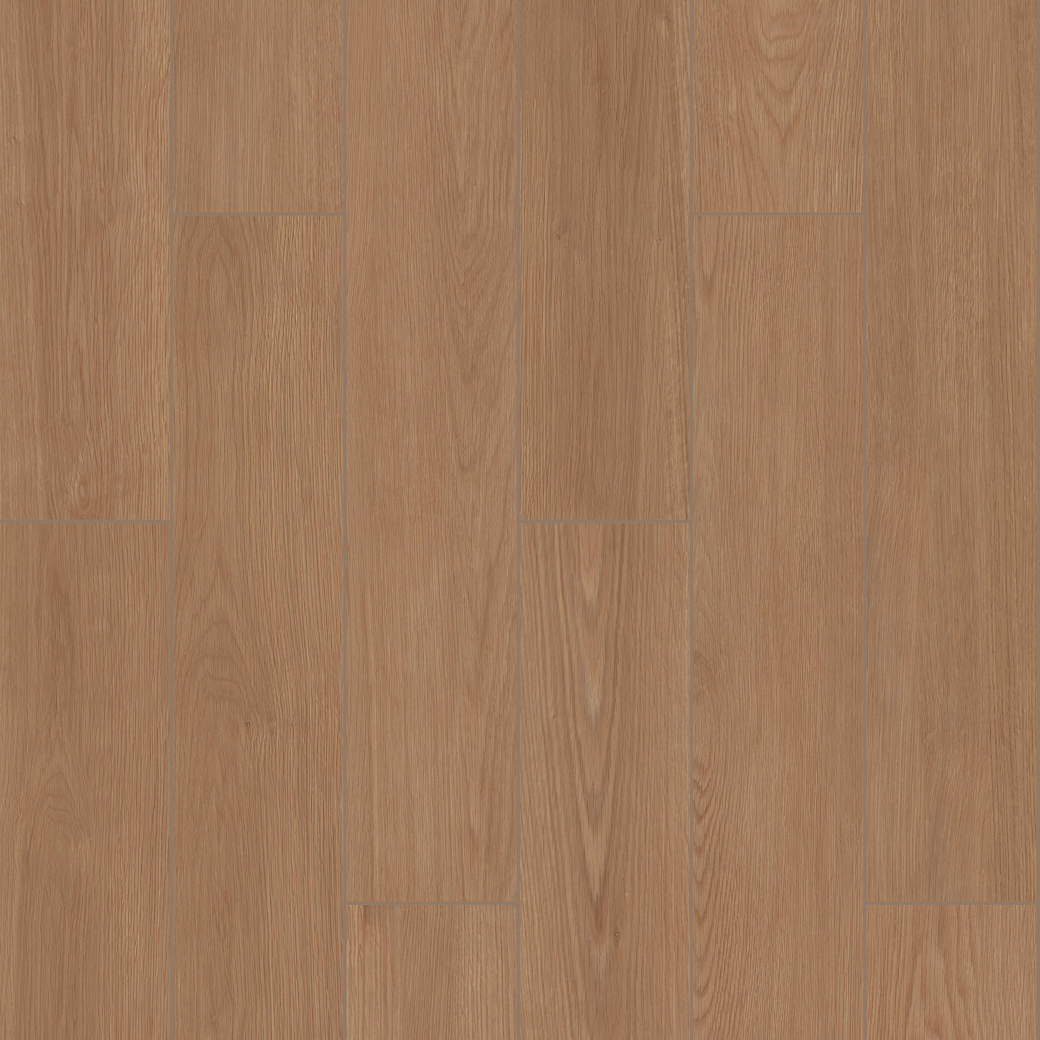 OVERLAND 6X36 SAVANNA MAIN