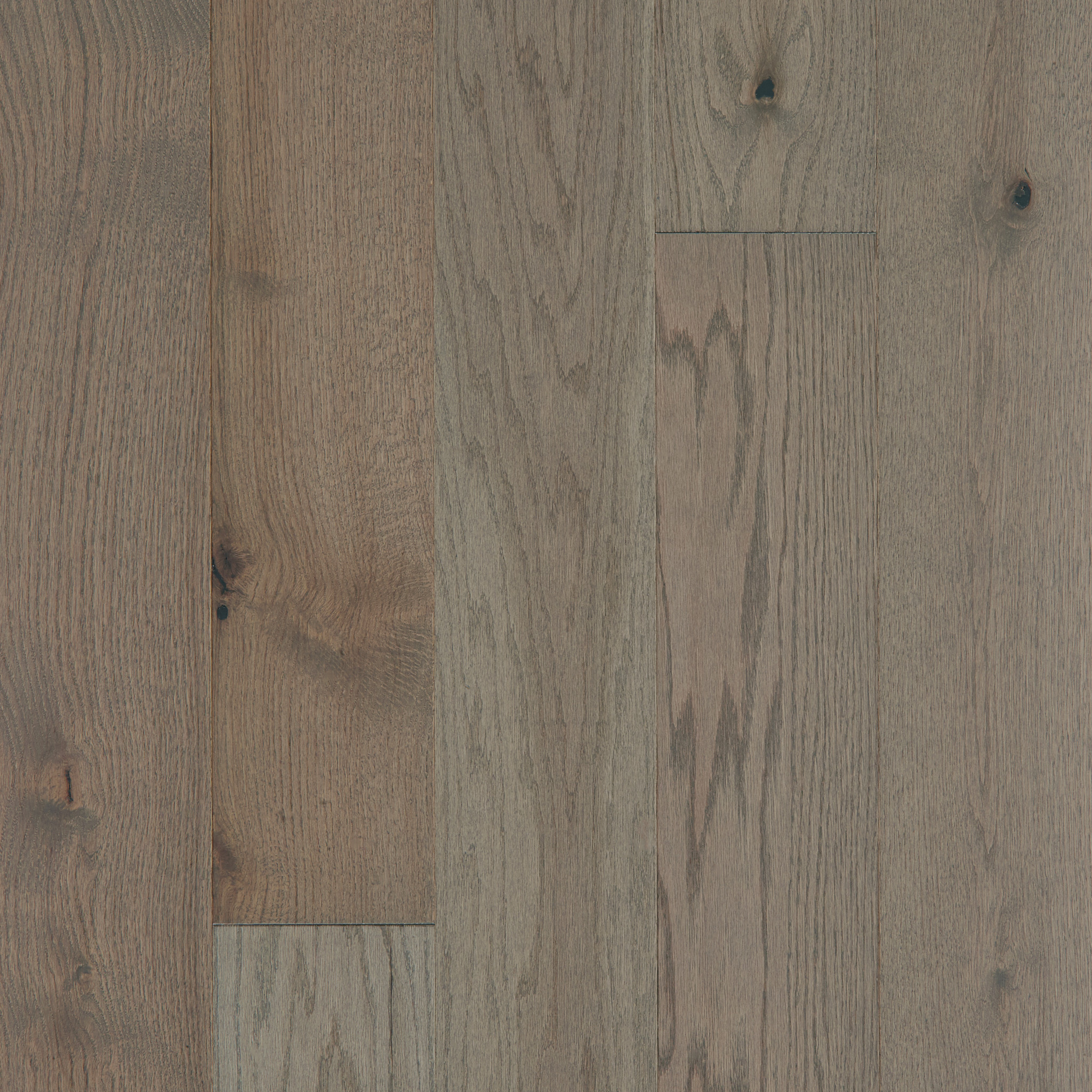 EXPLORATION OAK JOURNEY MAIN