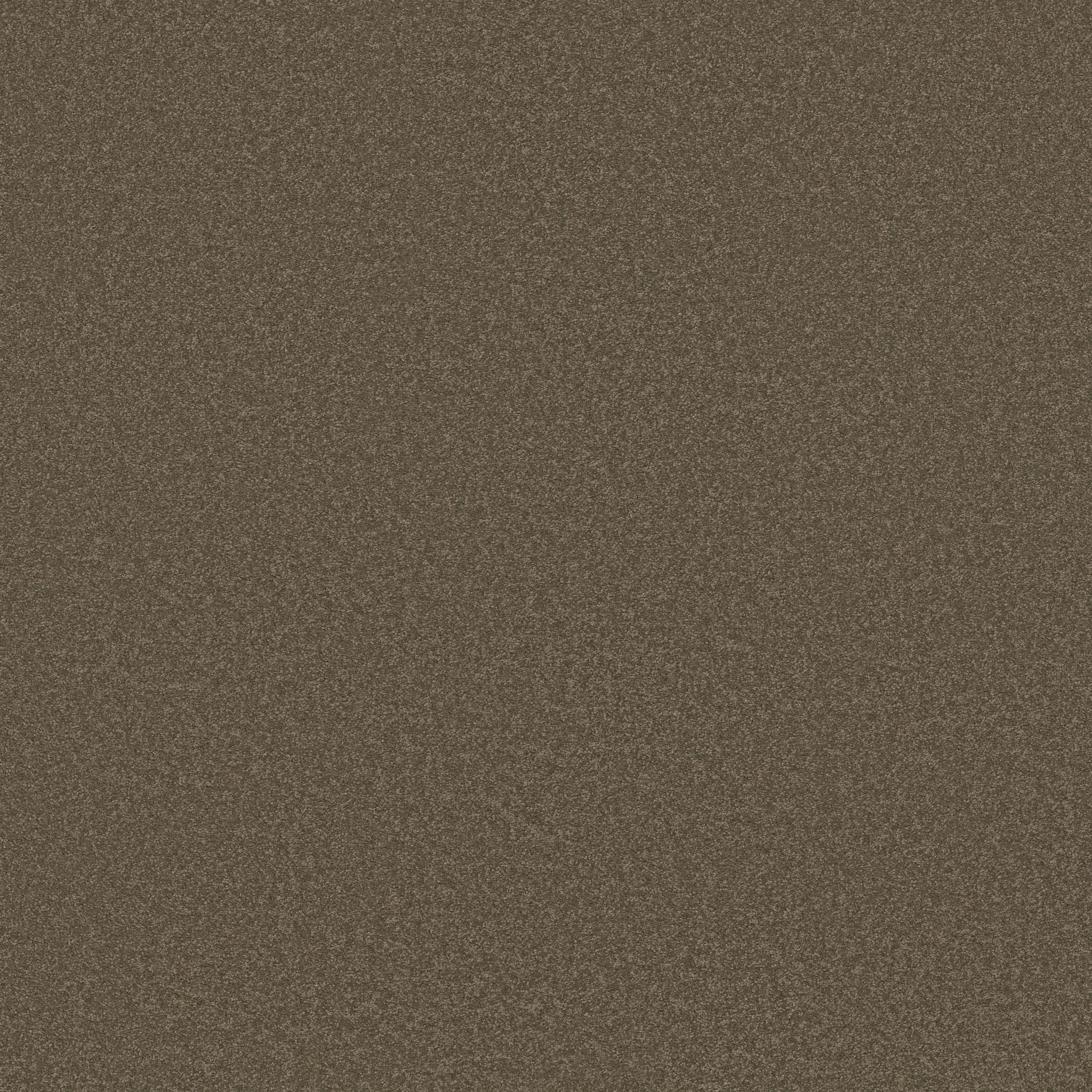 SHINGLE CREEK IV 12' CASTLE ROCK MAIN