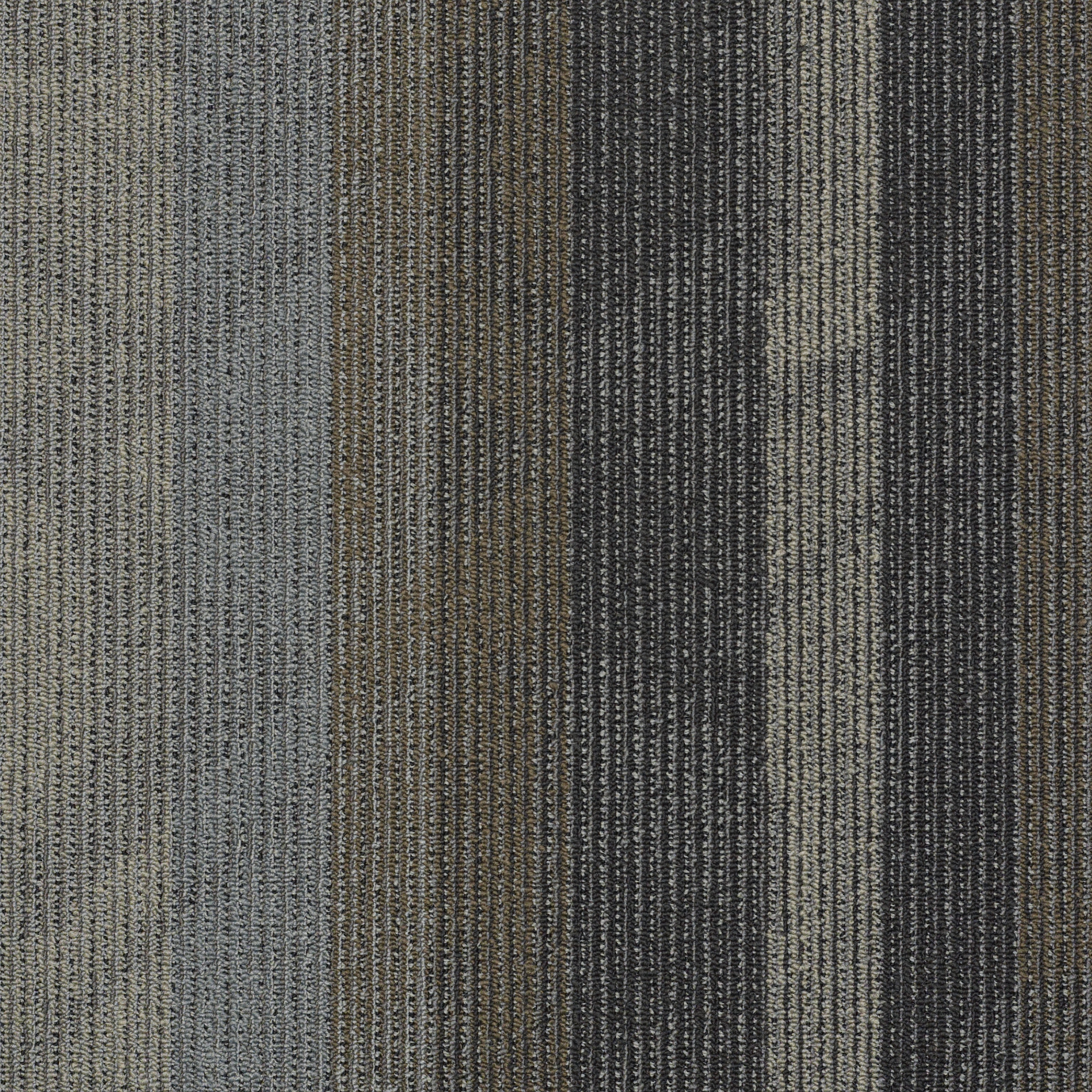 FEEDBACK-54565-VELOCITY-00501-main-image