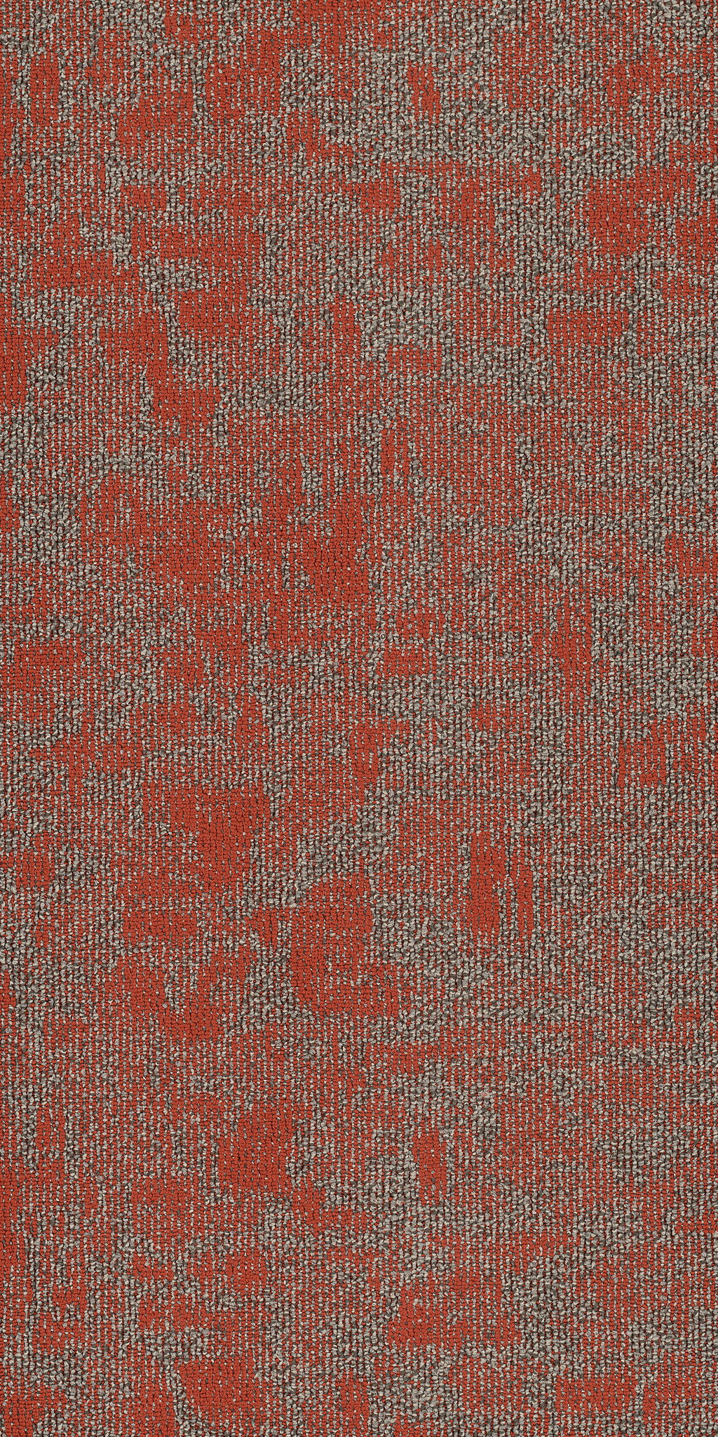 ARID-54848-MIOMBO-00816-main-image