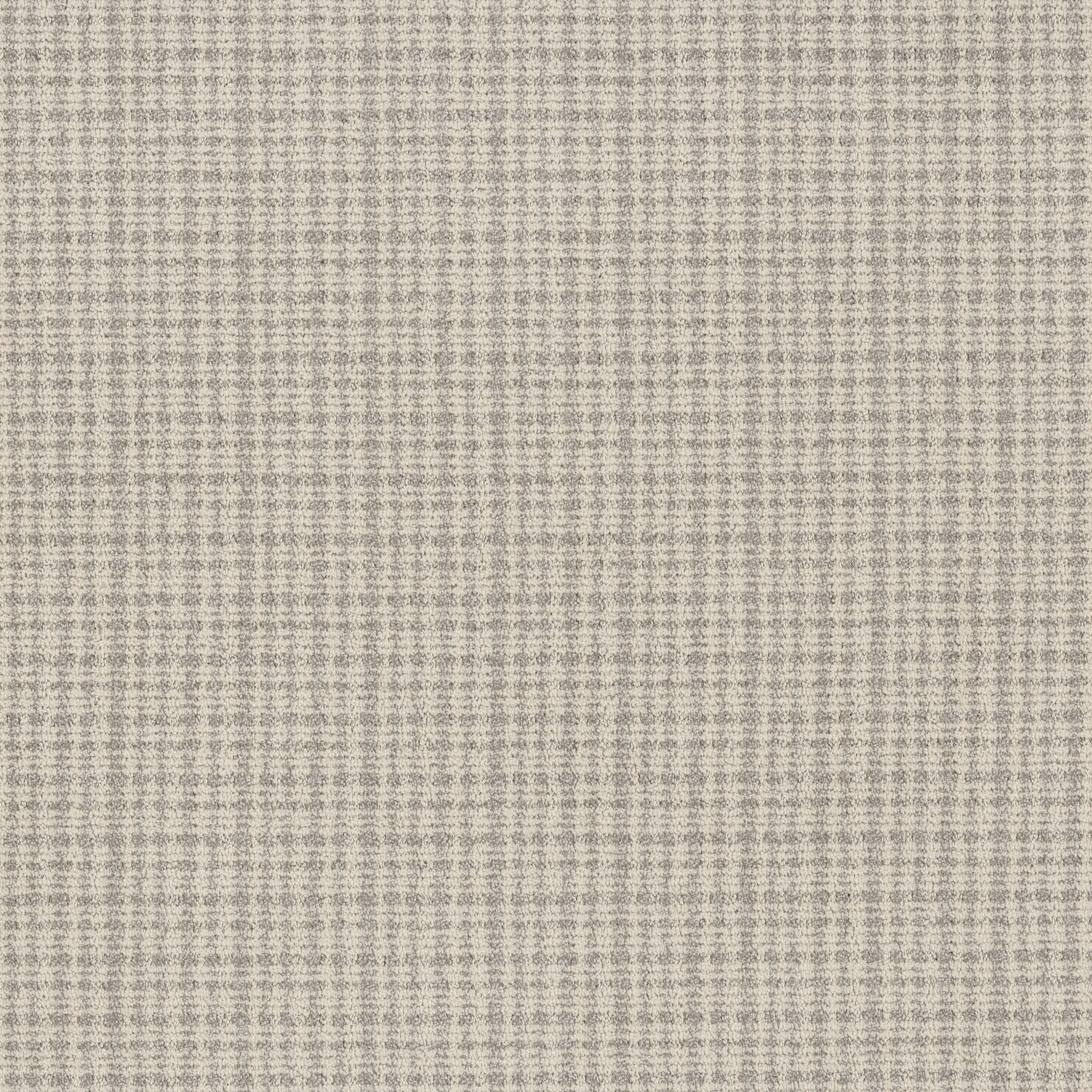 RADIANCE ARCTIC HARE MAIN