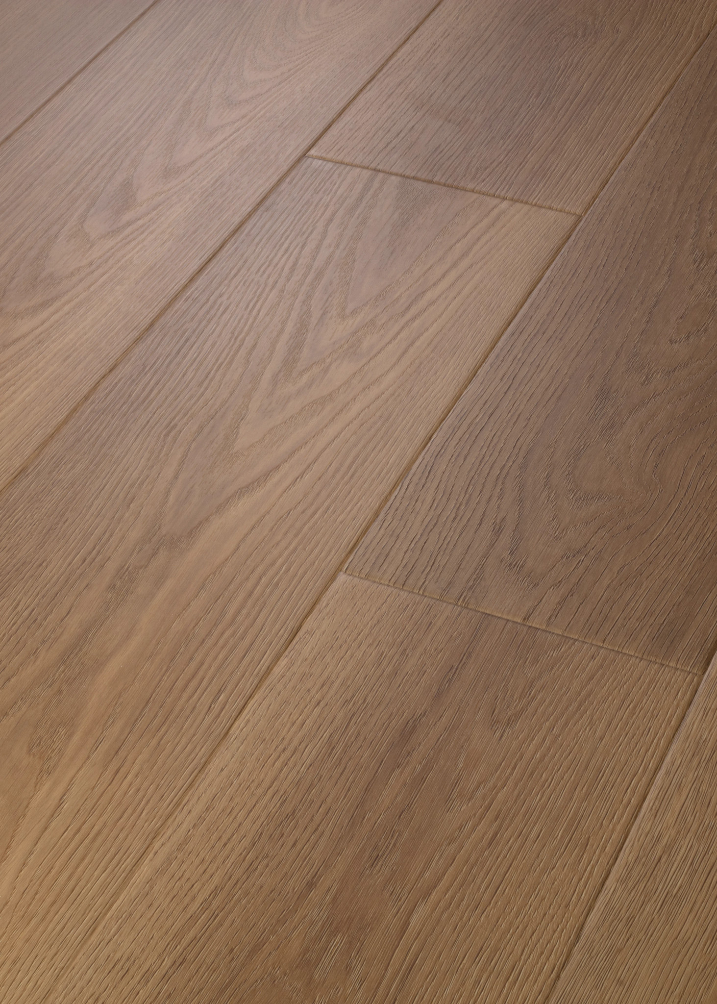 ASCENT NB LEGEND ANGLED