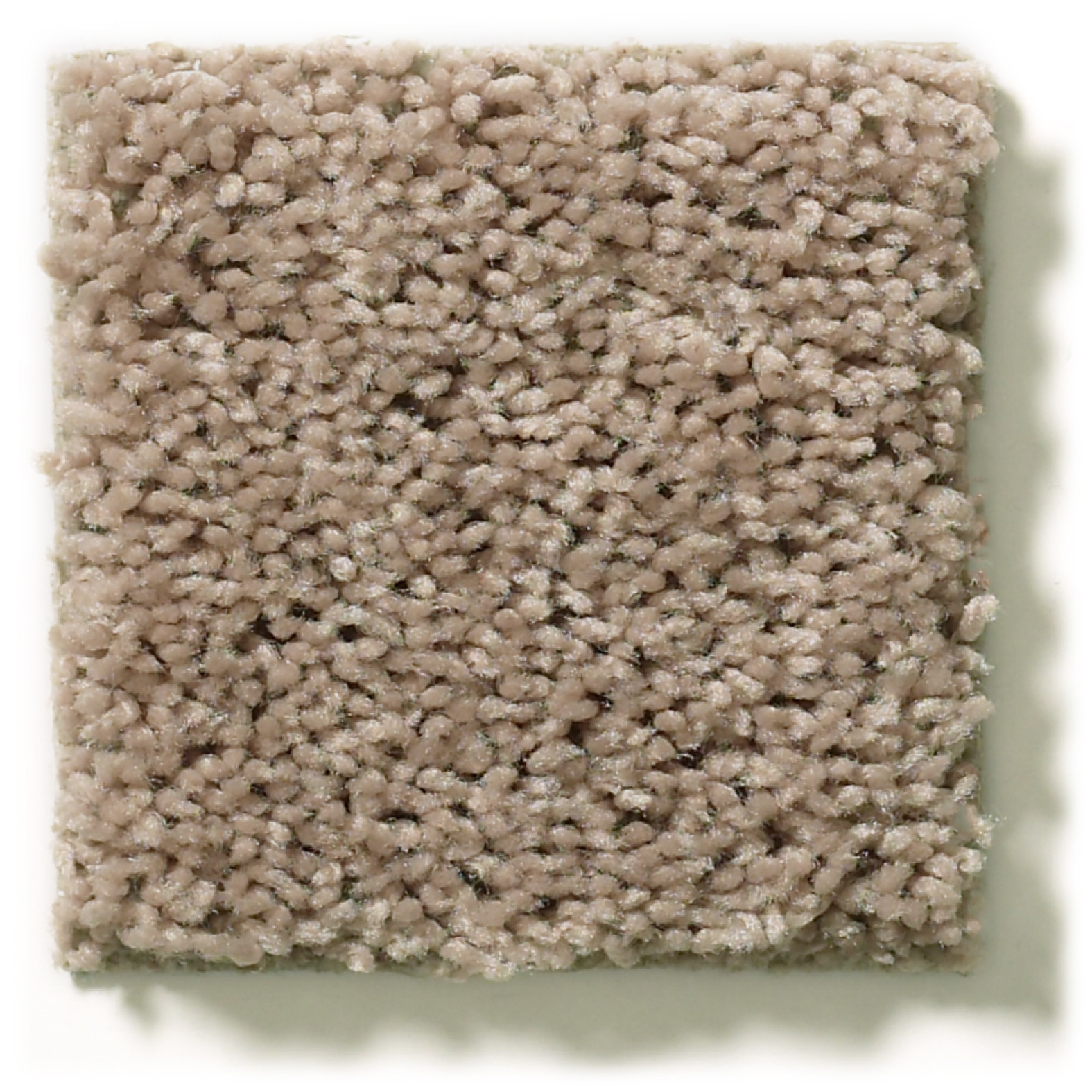 GO BIG SOFT SAND SWATCH