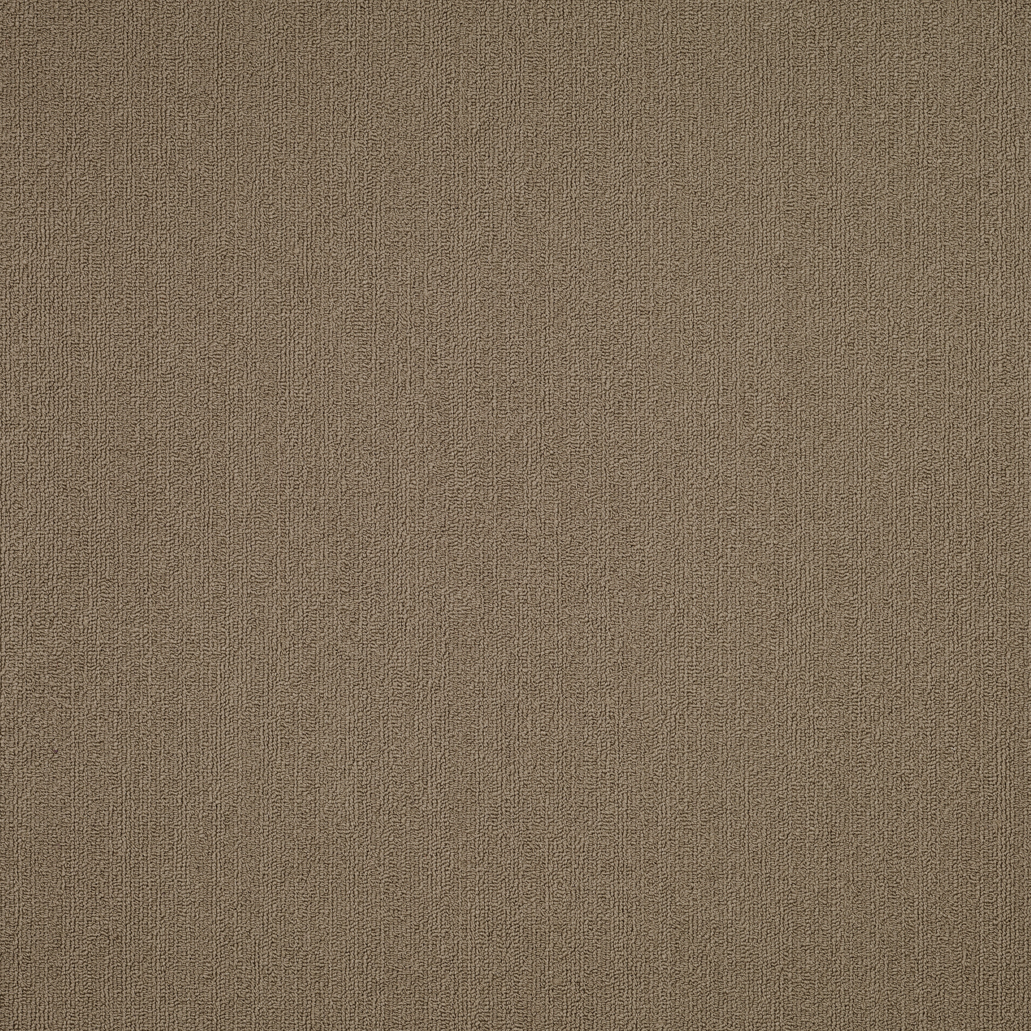 COLOR-ACCENTS-54462-PORTABELLA-62761-main-image