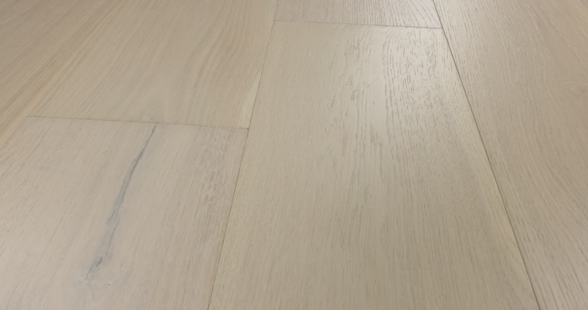 EXPRESSIONS 9.5" ALLEGORY 360PROD