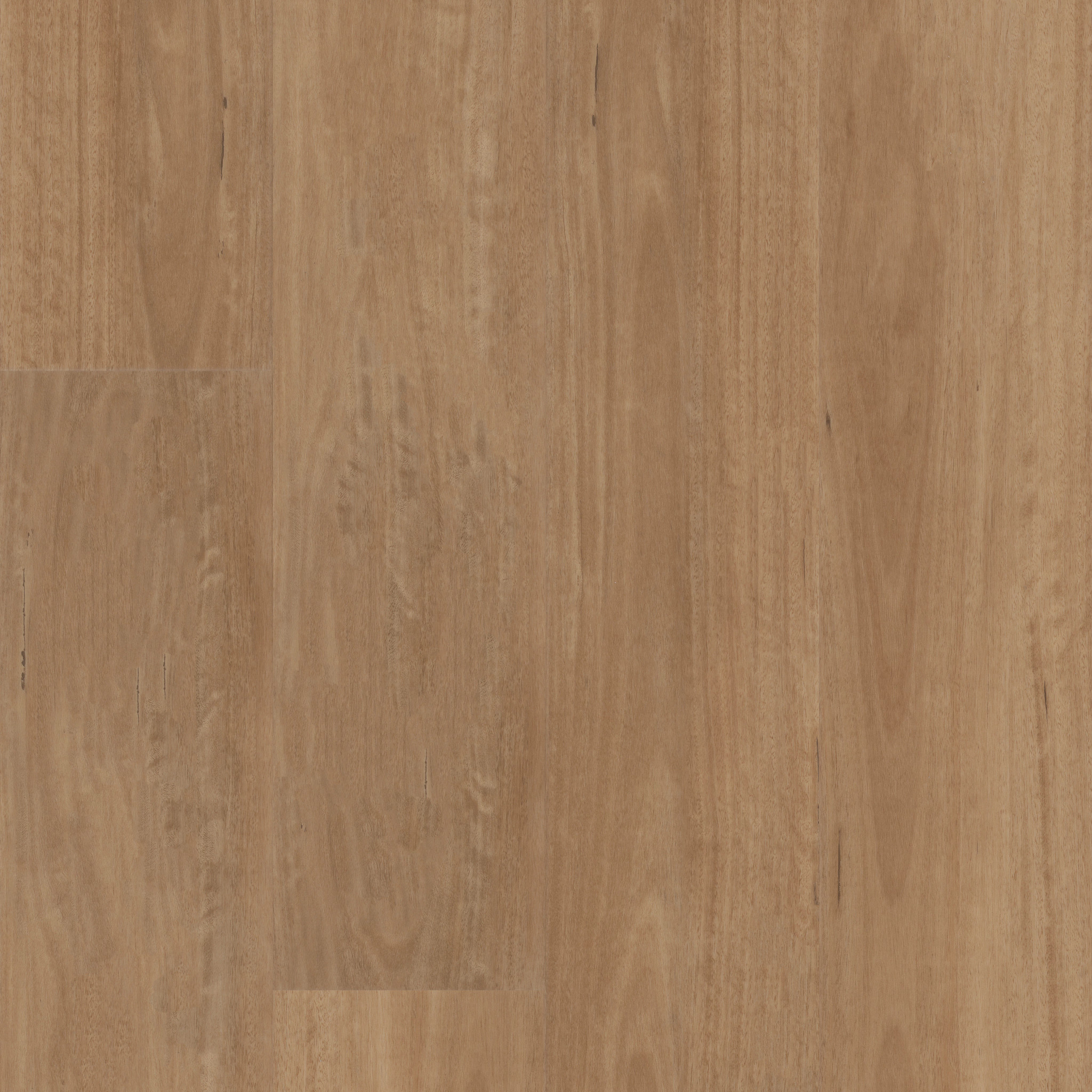 ASPIRE NATURAL BEVEL GOLDEN SHORES MAIN