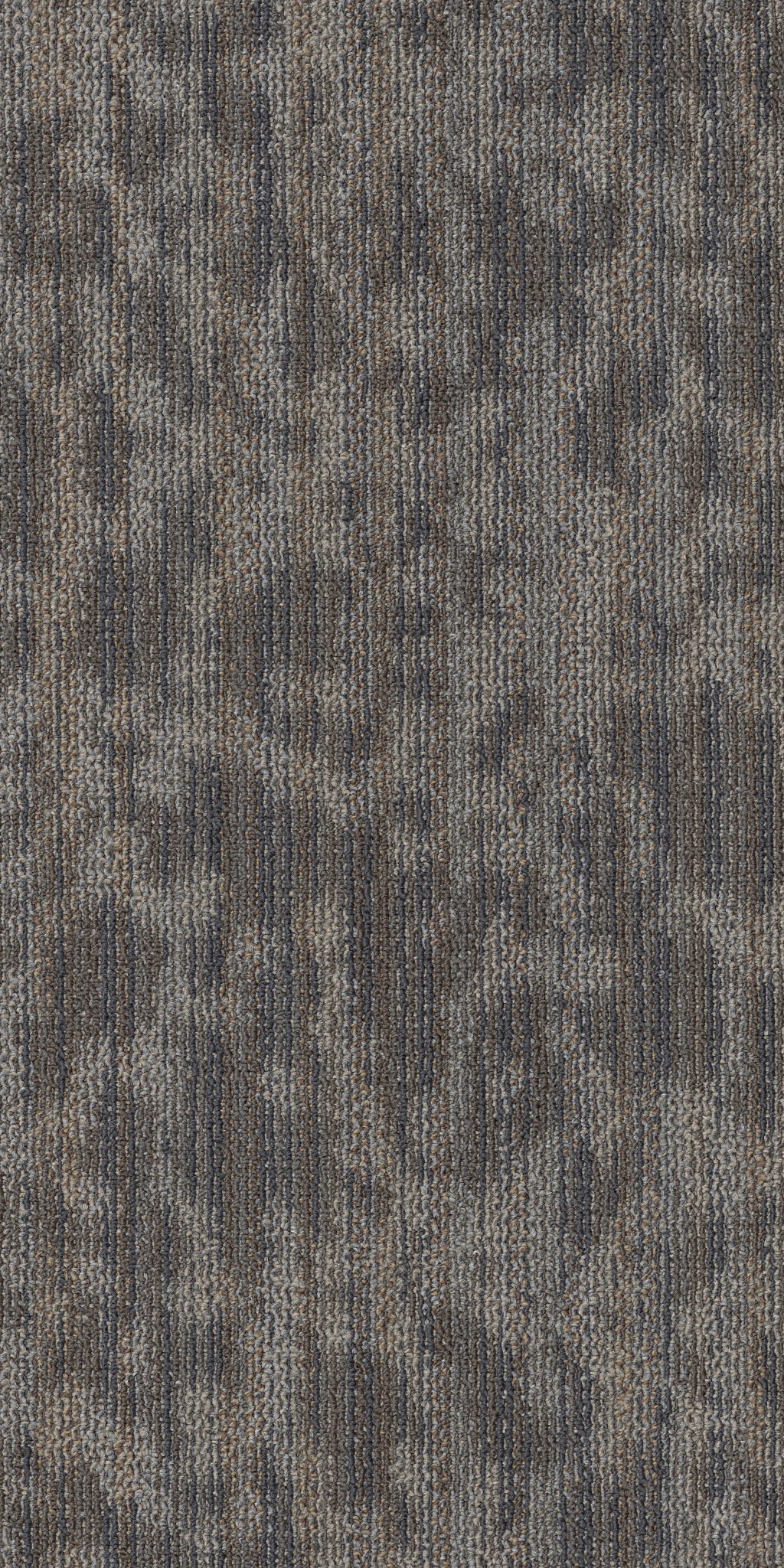 FOLIUM-TL-55009-DWELLING-00510-main-image